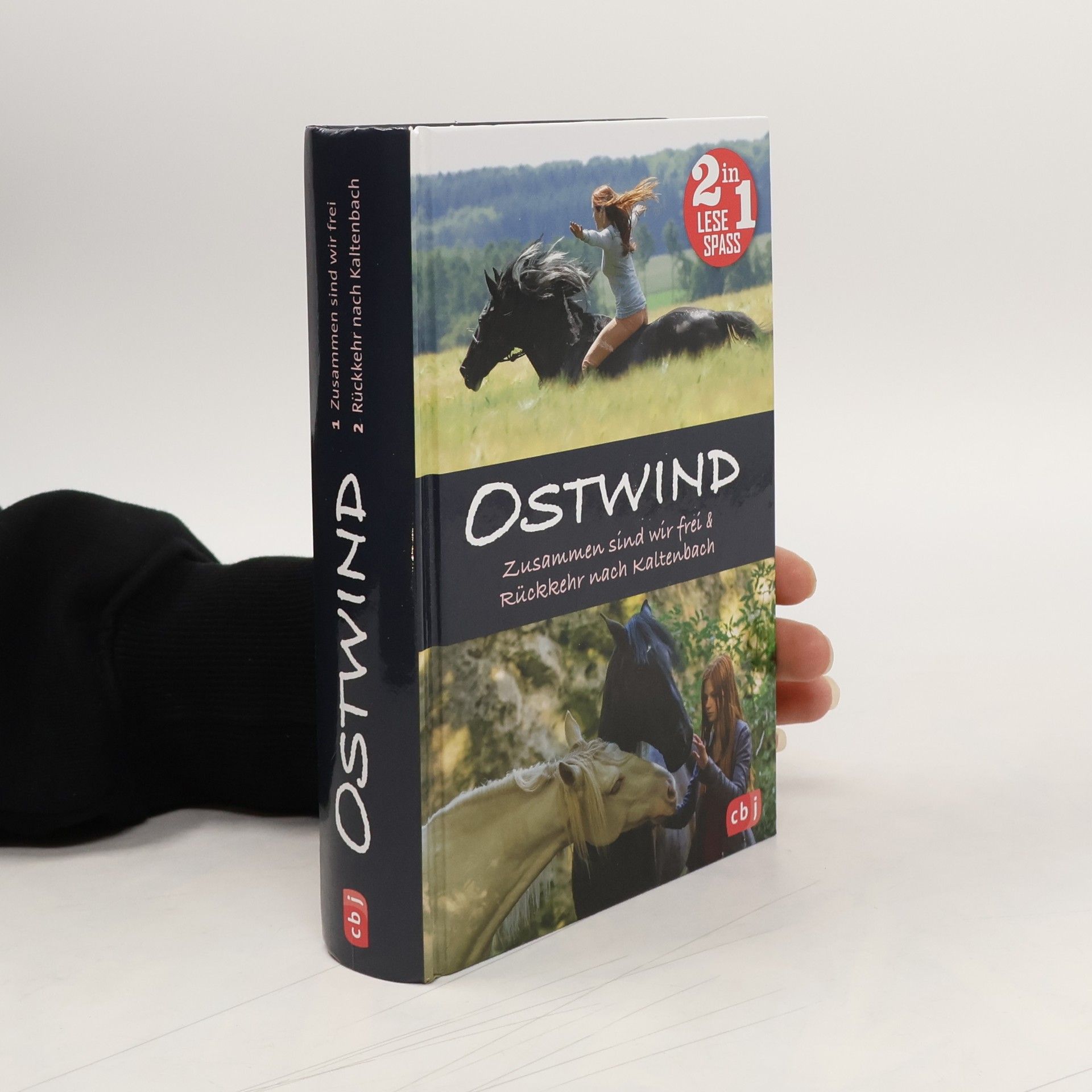 Ostwind. Zusammen sind wir frei. Rückkehr nach Kaltenbach