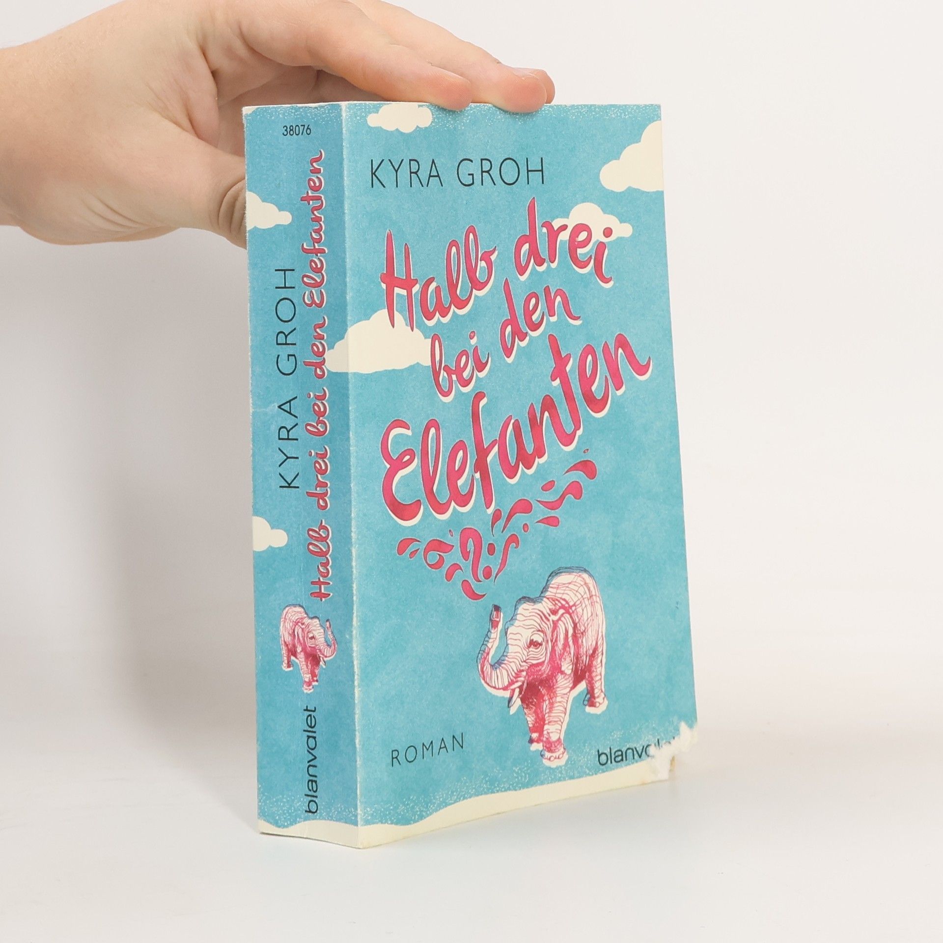 Halb drei bei den Elefanten