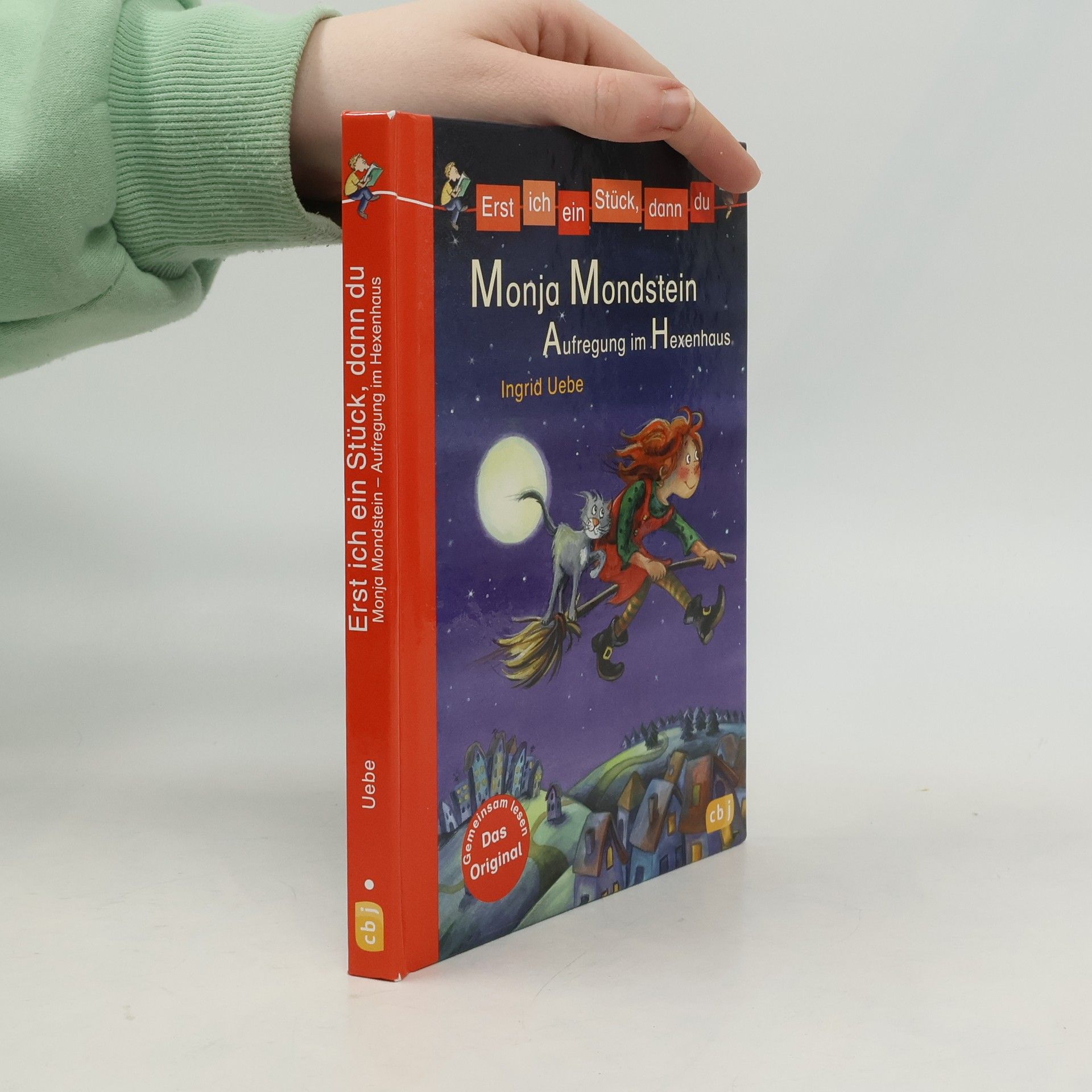 Ingrid Uebe Monja Mondstein - Aufregung im Hexenhaus
