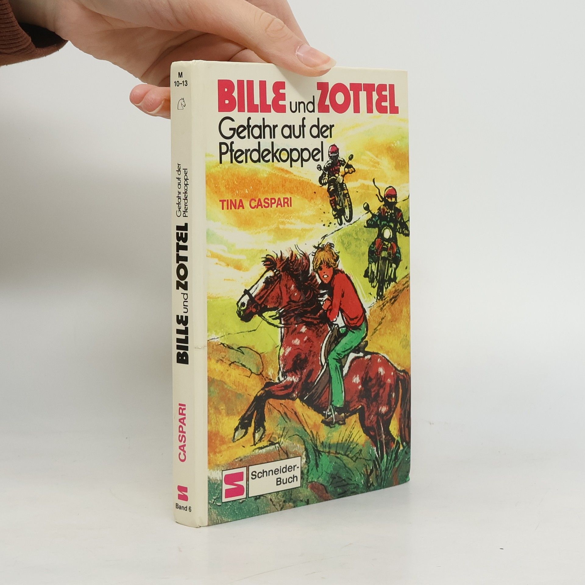 Tina Caspari Bille und Zottel Bd. 06. Gefahr auf der Pferdekoppel