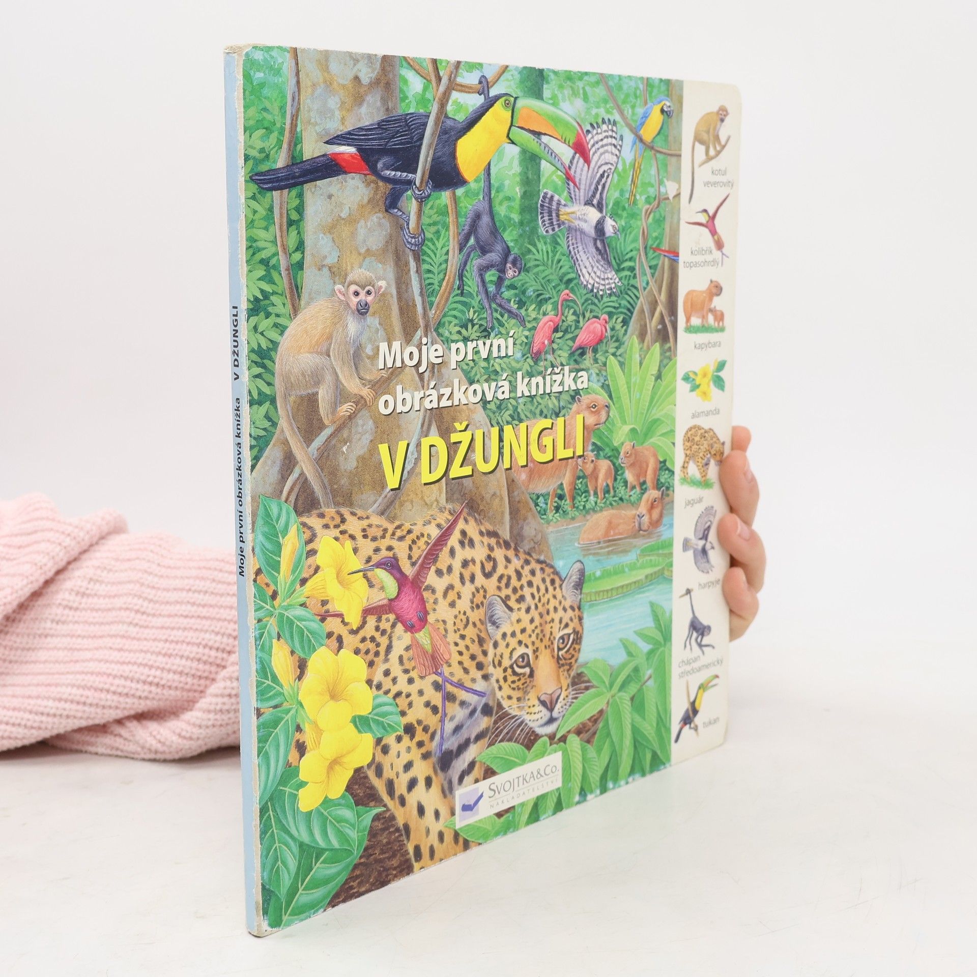 V džungli - Moje první obrázková knížka