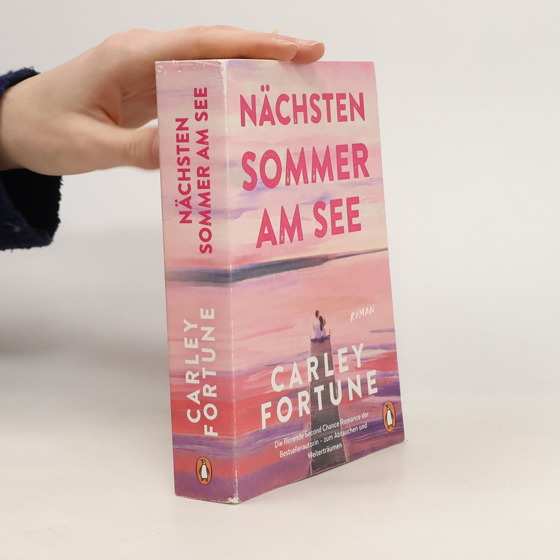 Carley Fortune Nächsten Sommer am See