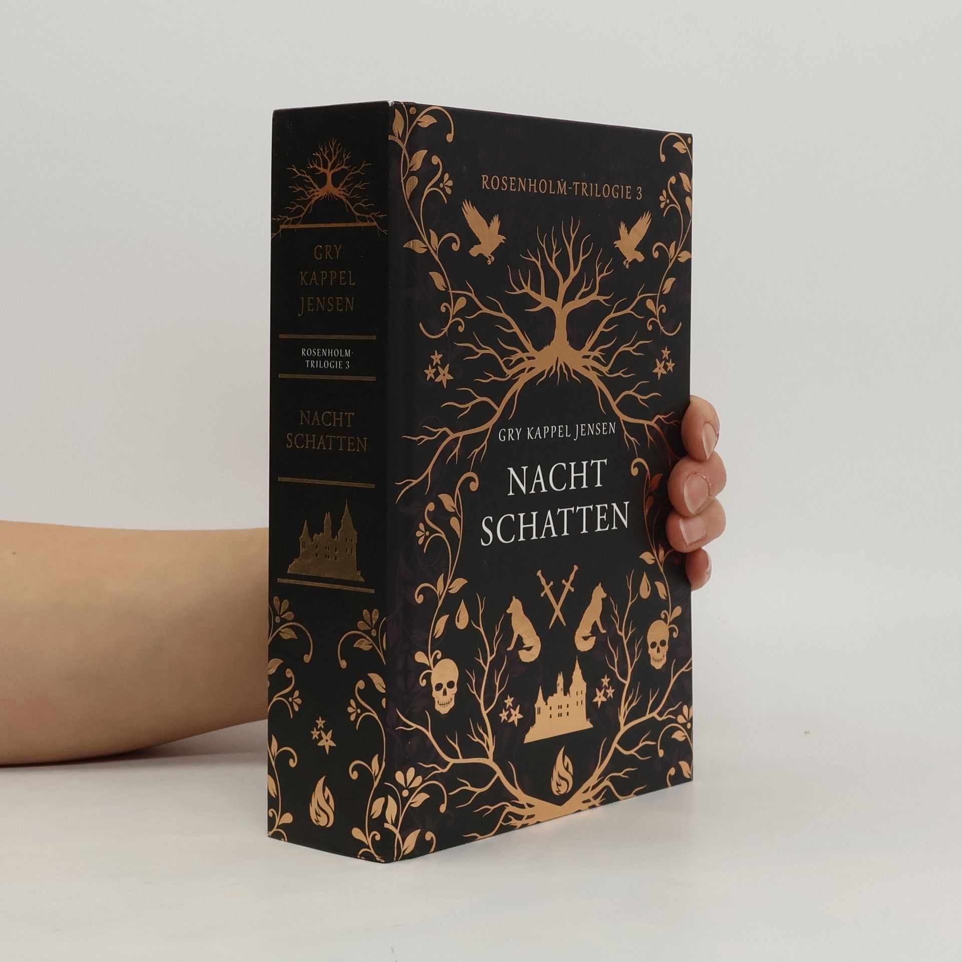 Nachtschatten - Rosenholm-Trilogie (3)