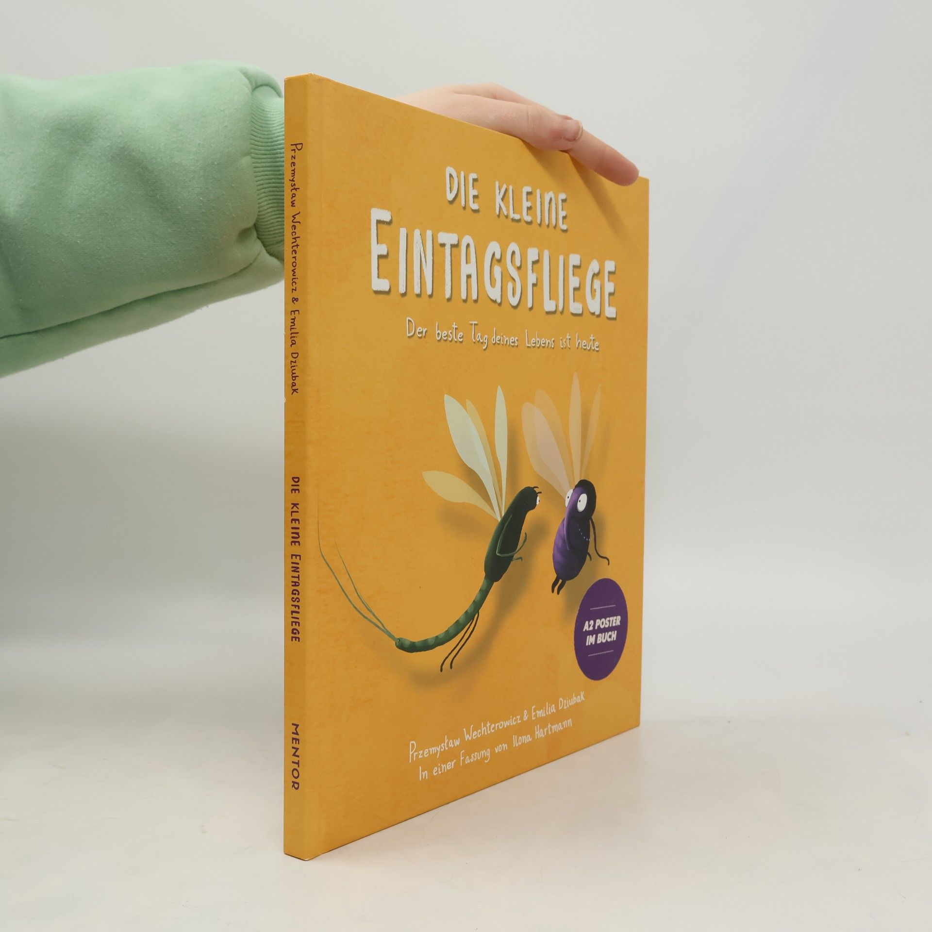 Przemyslaw Wechterowicz Die kleine Eintagsfliege