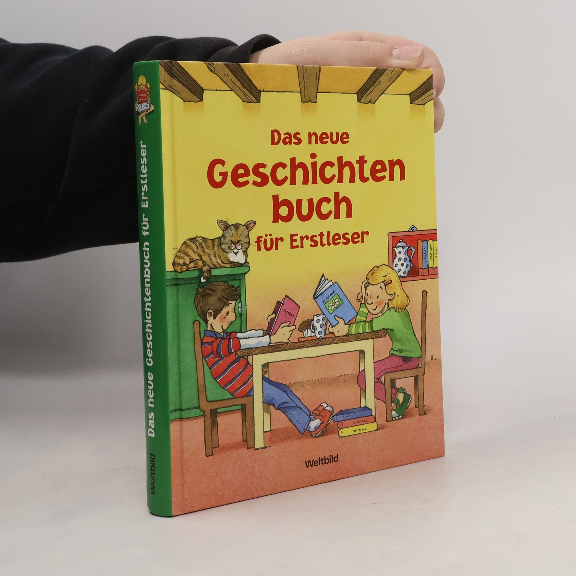 AA.VV. Das neue Geschichtenbuch für Erstleser