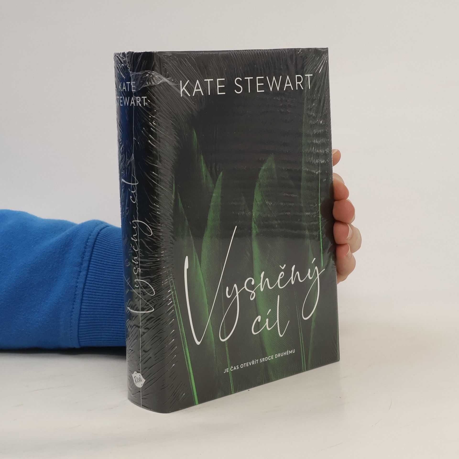 Kate Stewart Vysněný cíl. Kniha třetí