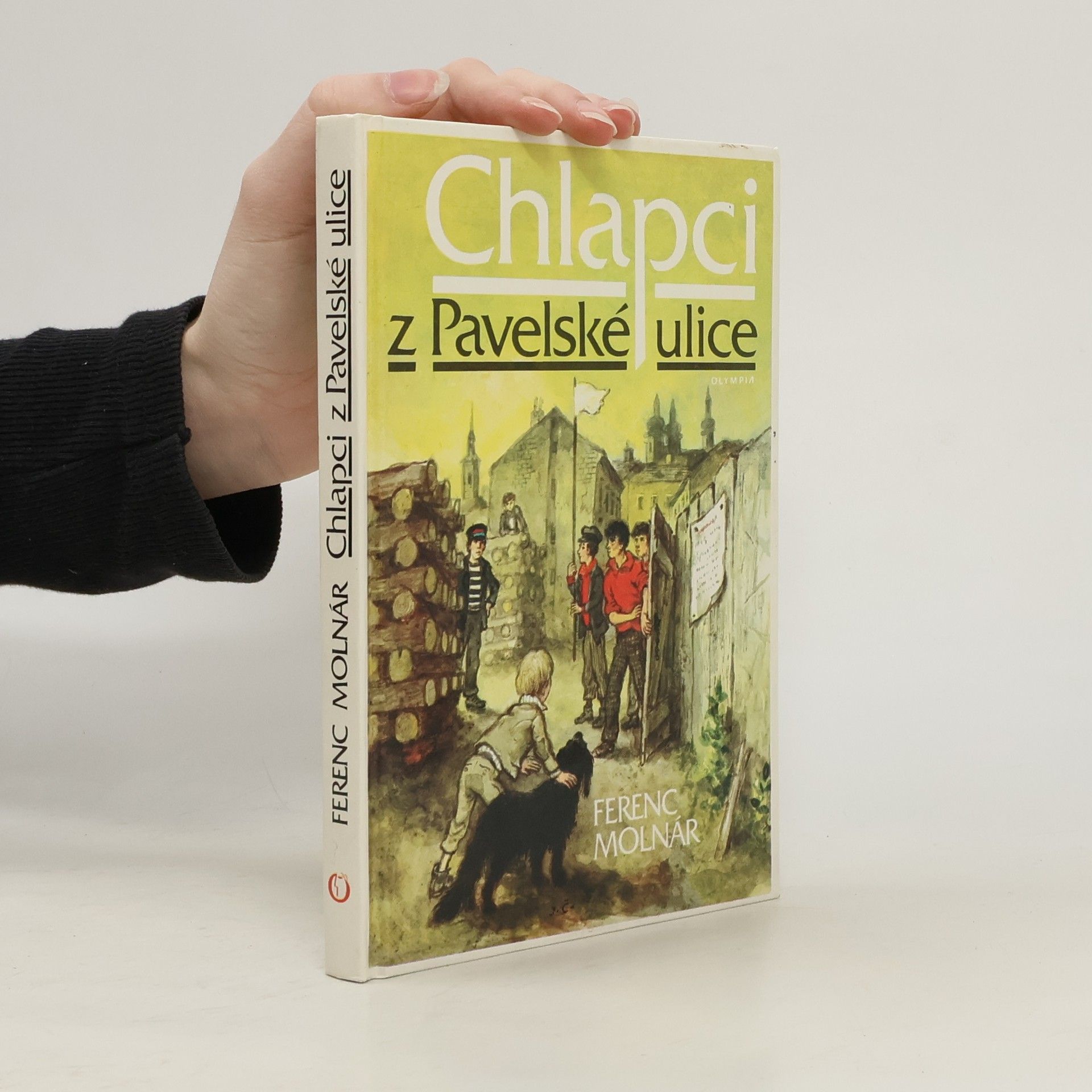 Chlapci z Pavelské ulice