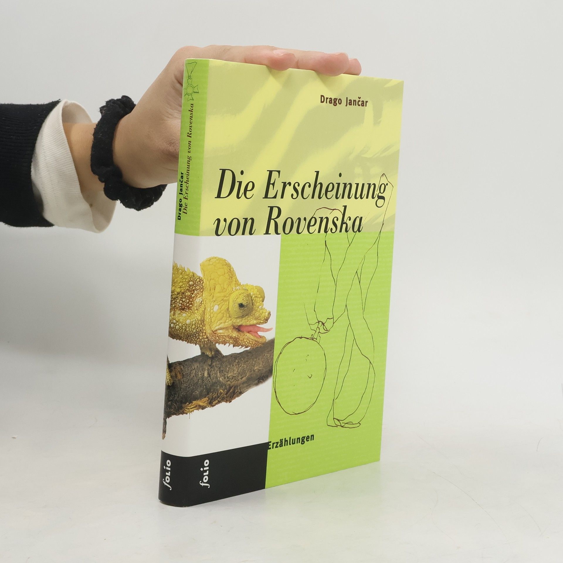 Drago Jančar Die Erscheinung von Rovenska. Erzählungen