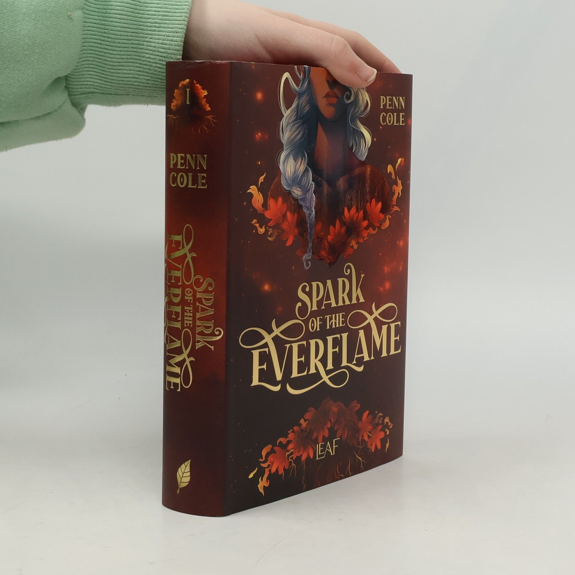 Spark of the Everflame / Kindred´s Curse Saga Bd.1