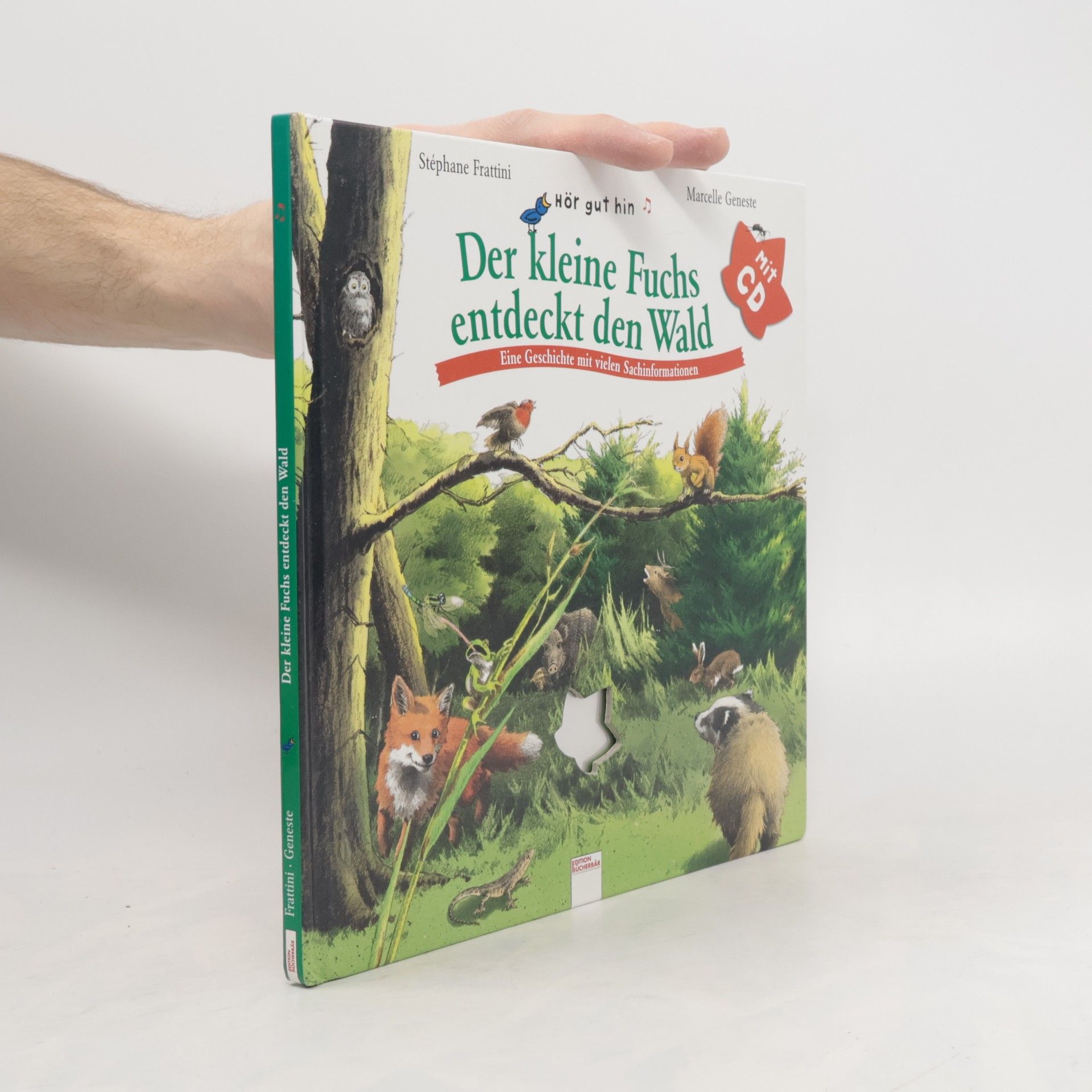 Der kleine Fuchs entdeckt den Wald