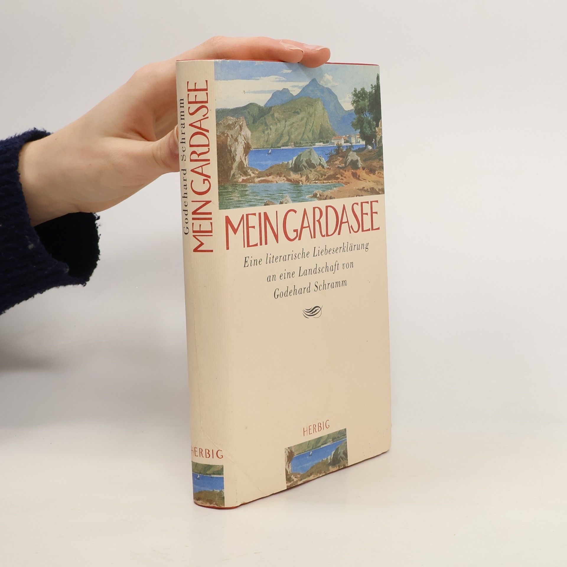 Mein Gardasee