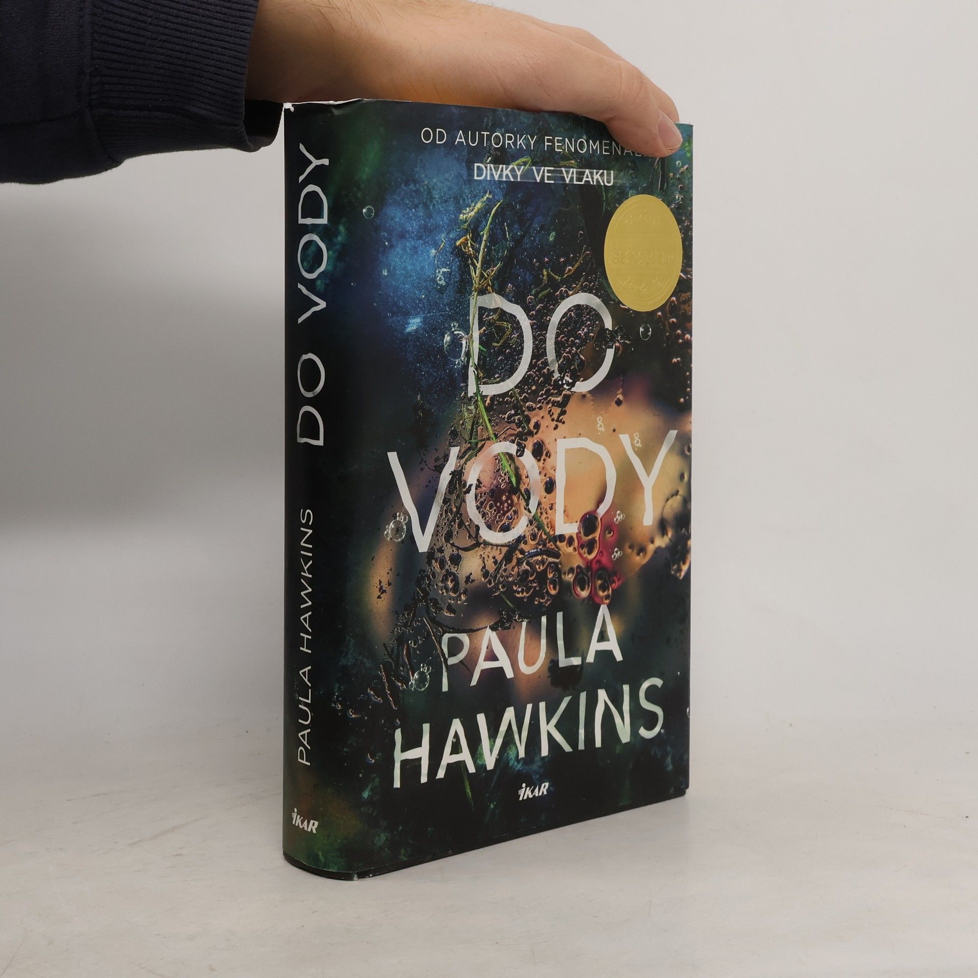 Paula Hawkins Do vody