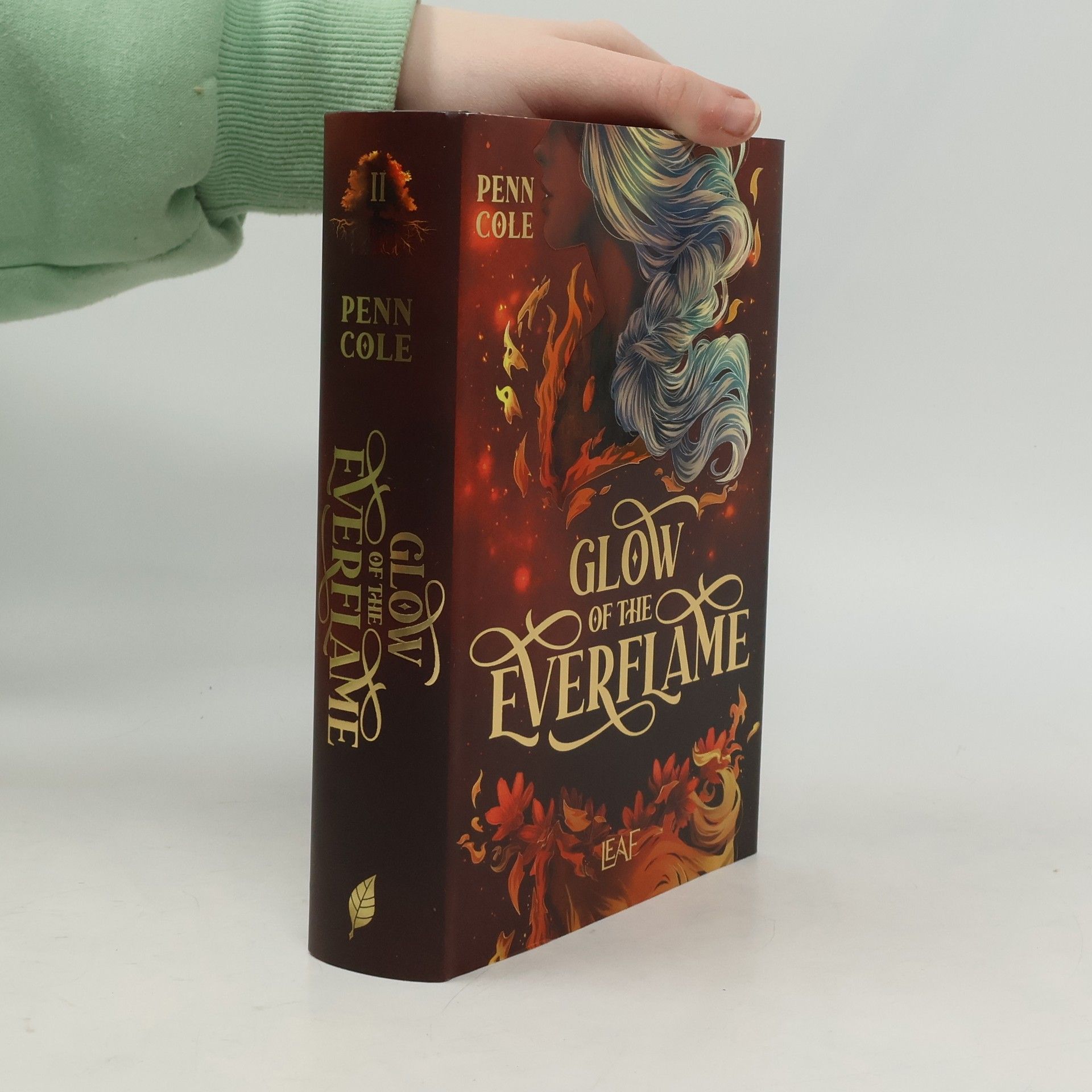 Glow of the Everflame / Kindred´s Curse Saga Bd.2