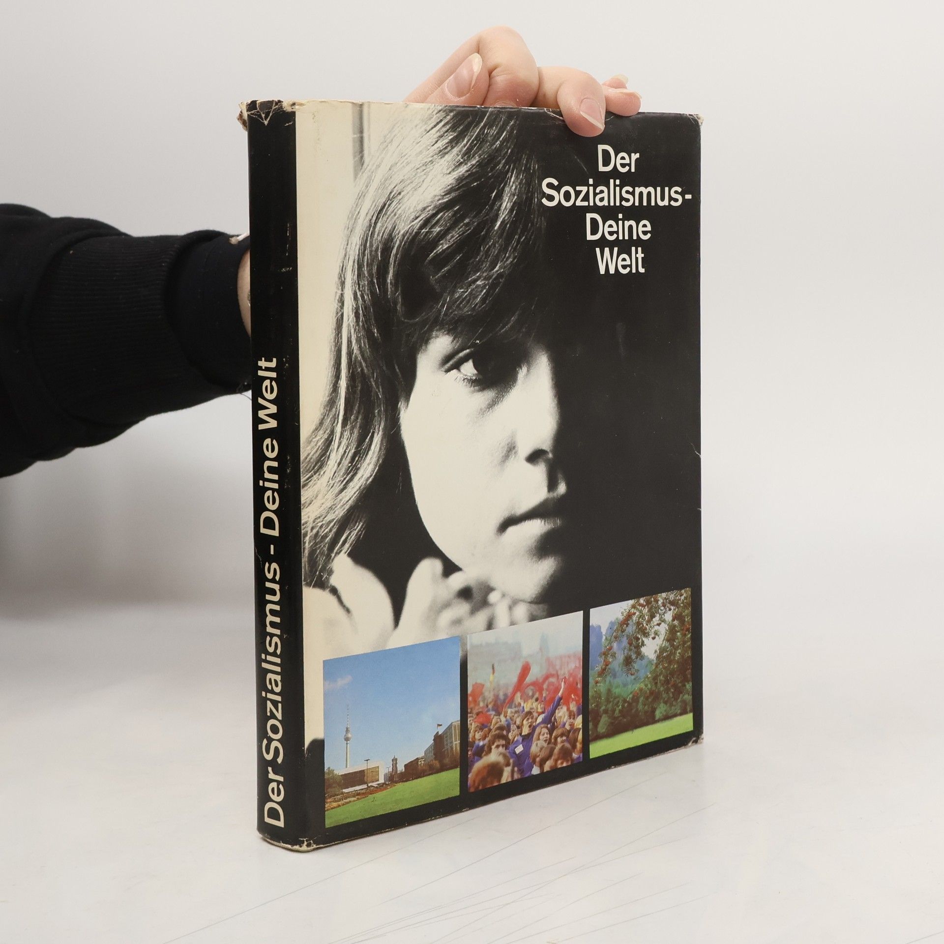 Kolektív autorov Der Sozialismus - Deine Welt