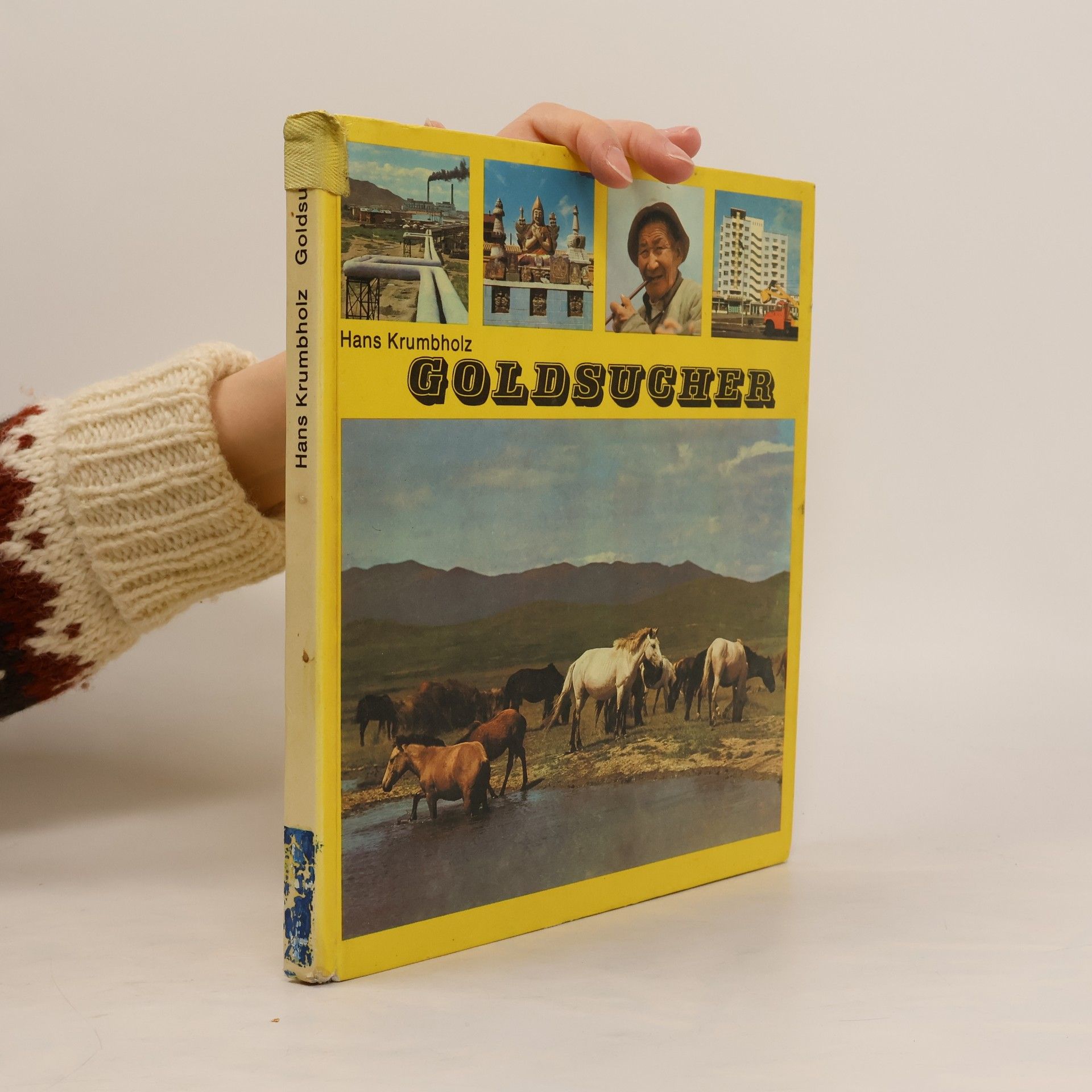 Hans Krumbholz Goldsucher