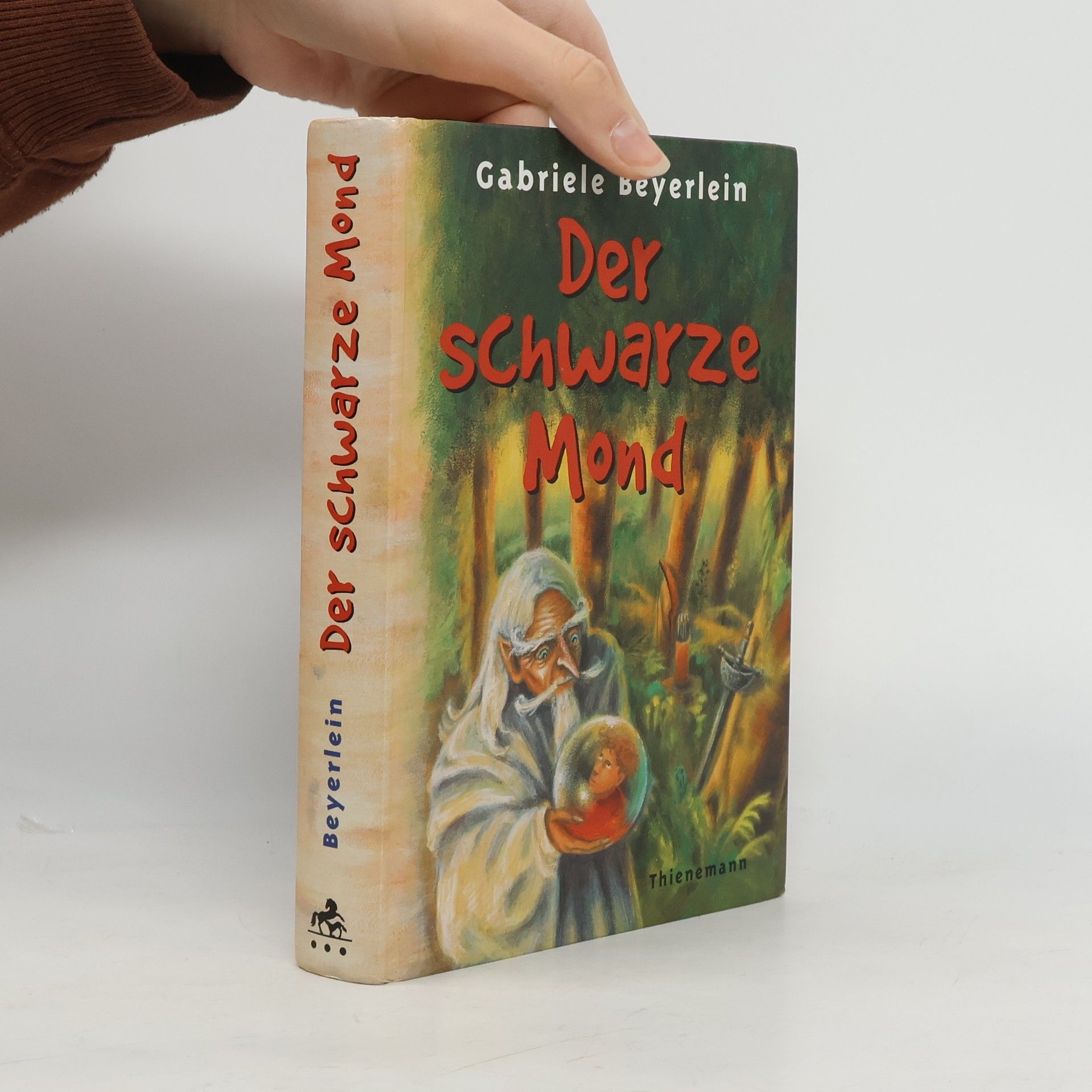 Gabriele Beyerlein Der schwarze Mond