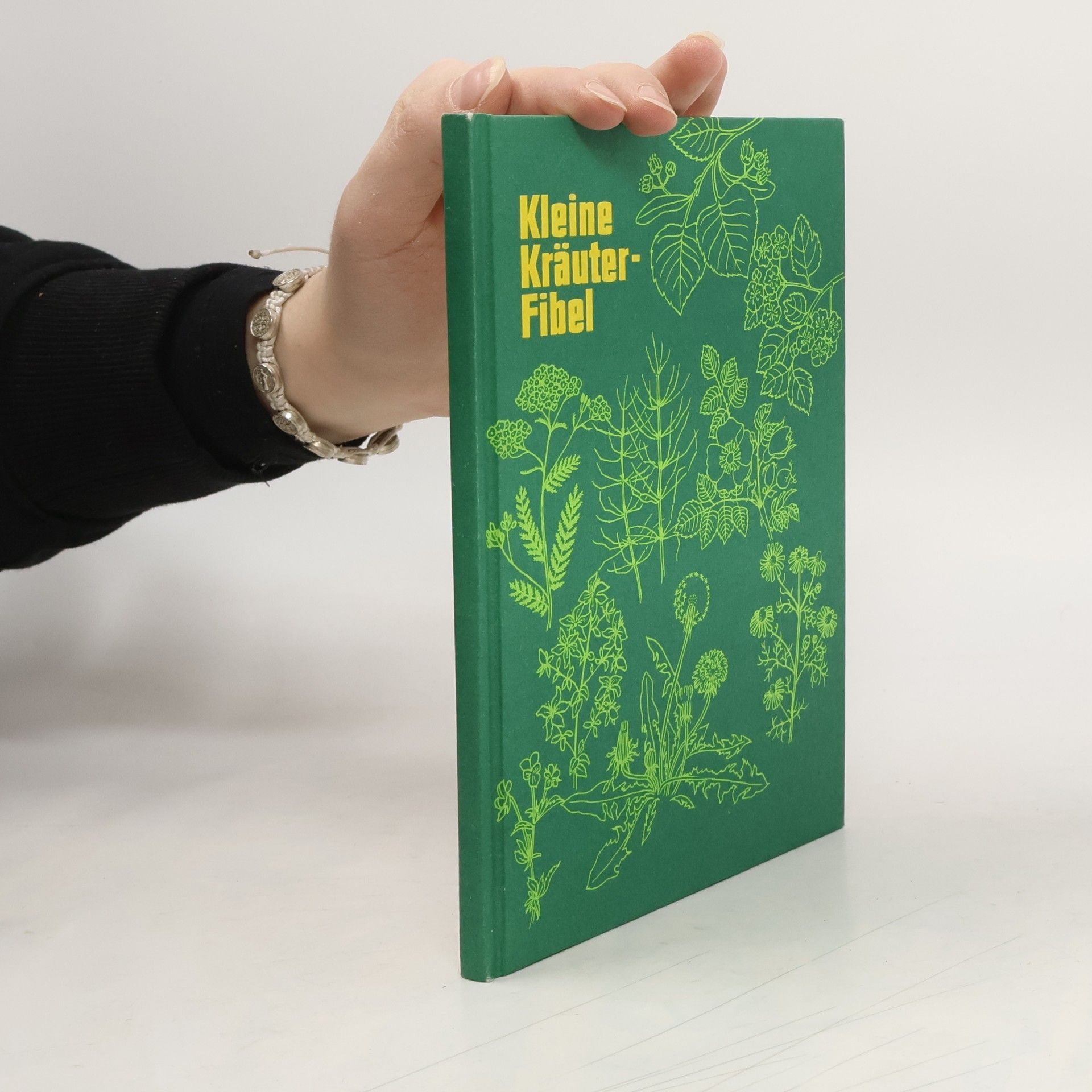 Autorenkollektiv Kleine Kräuterfibel