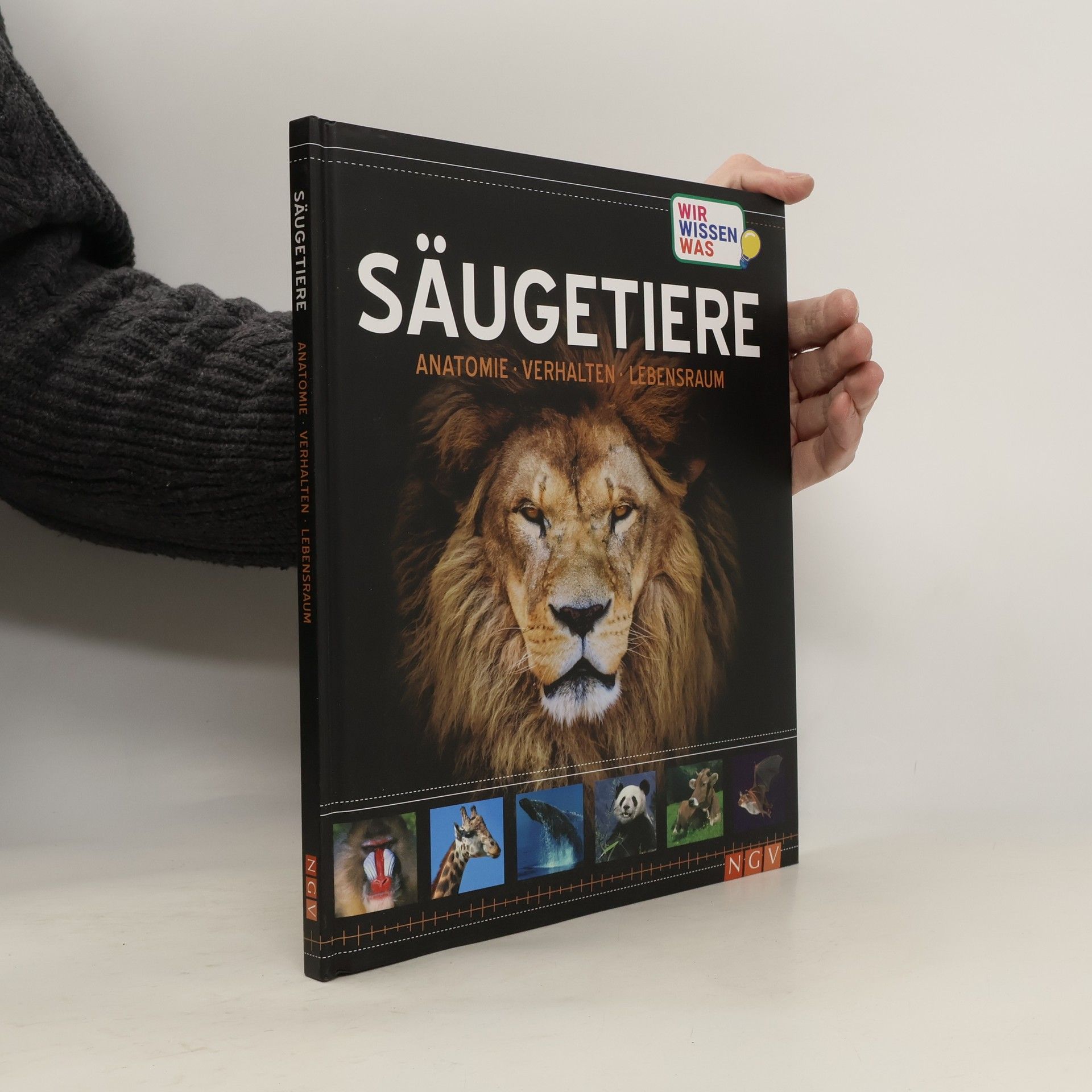 Kolektiv autorů Säugetiere. Anatomie, Verhalten, Lebensraum