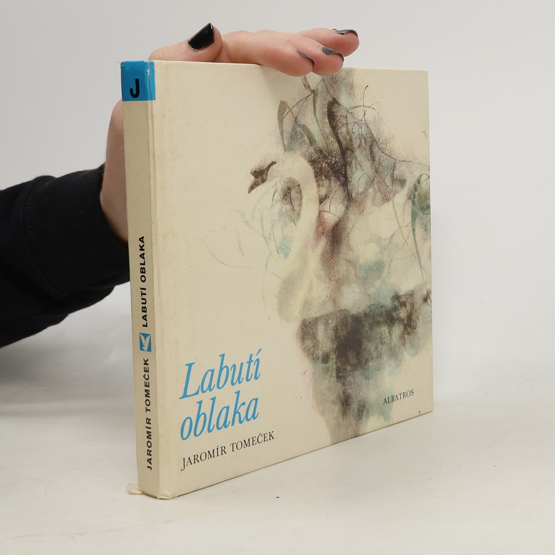 Jaromír Tomeček Labutí oblaka. Sága o luhu