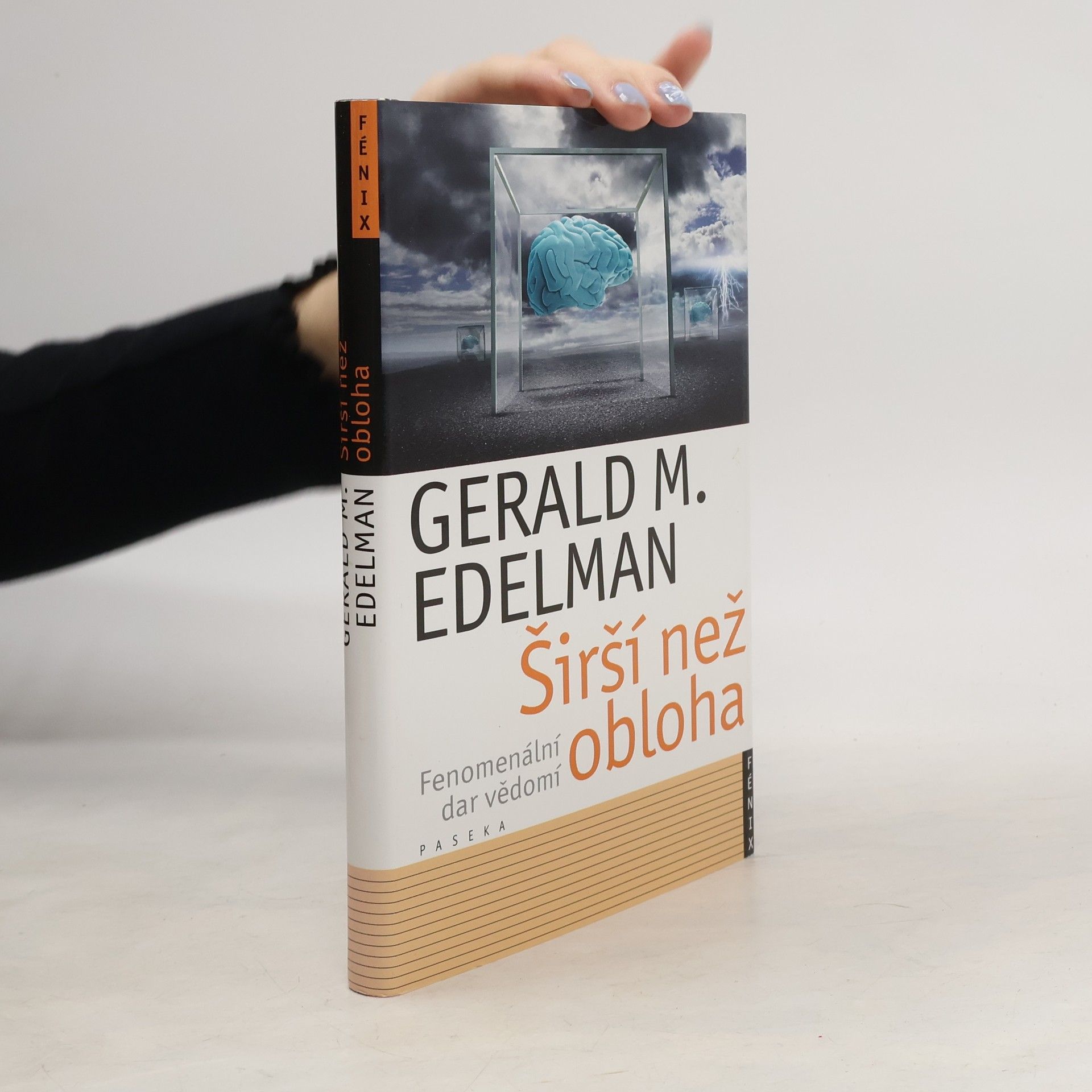 Širší než obloha. Fenomenální dar vědomí