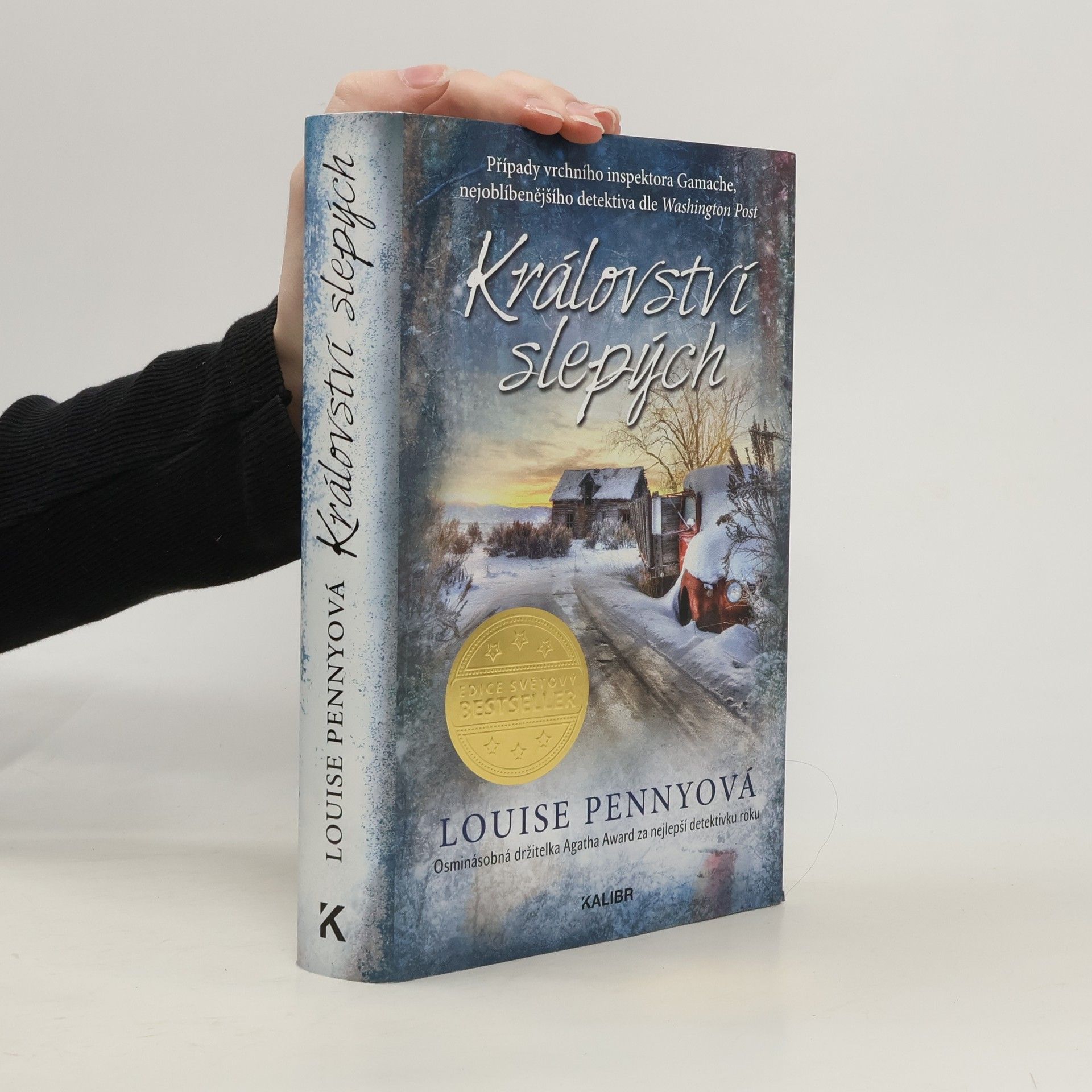 Louise Penny Království slepých