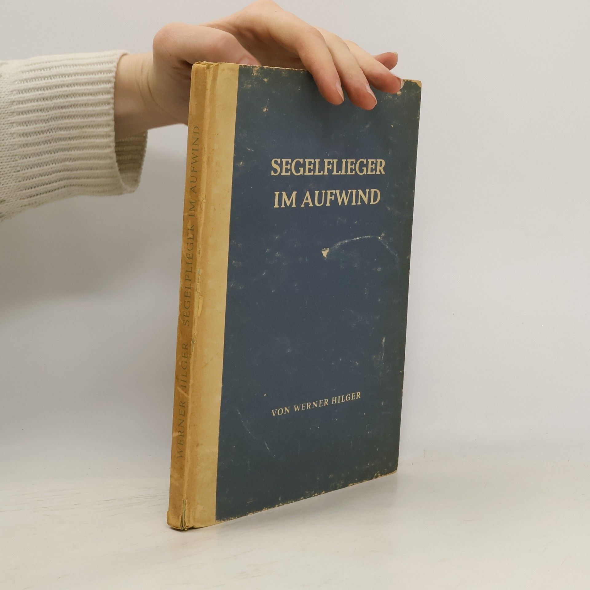 Werner Hilgers Segelflieger im Aufwind
