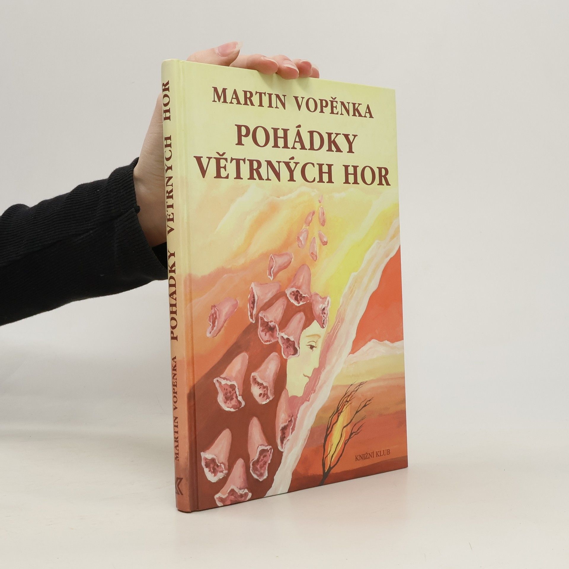 Martin Vopěnka Pohádky Větrných hor