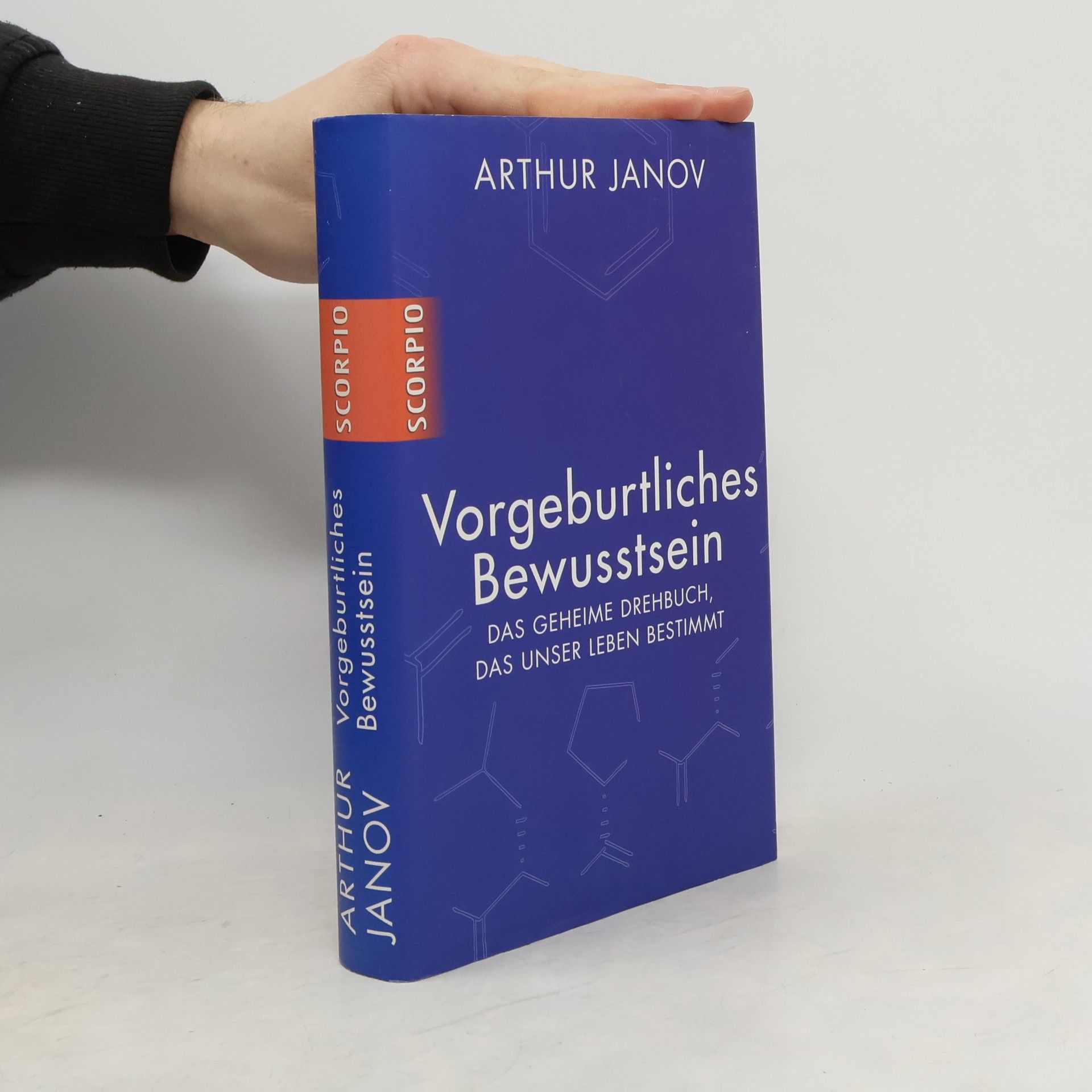 Vorgeburtliches Bewusstsein