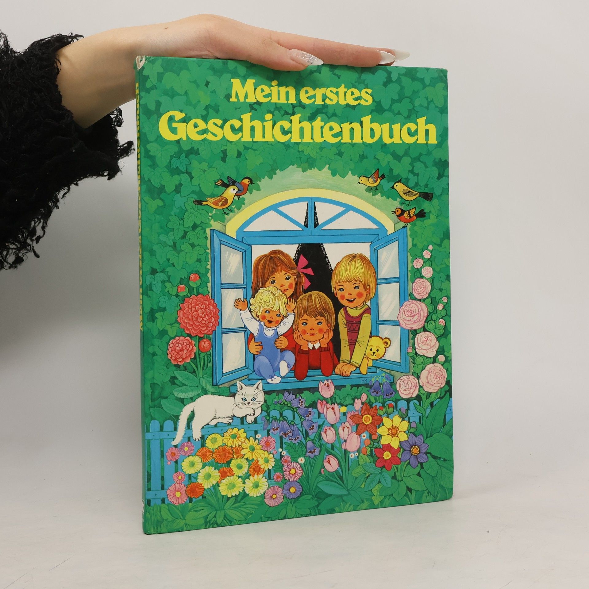 Mein erstes Geschichtenbuch