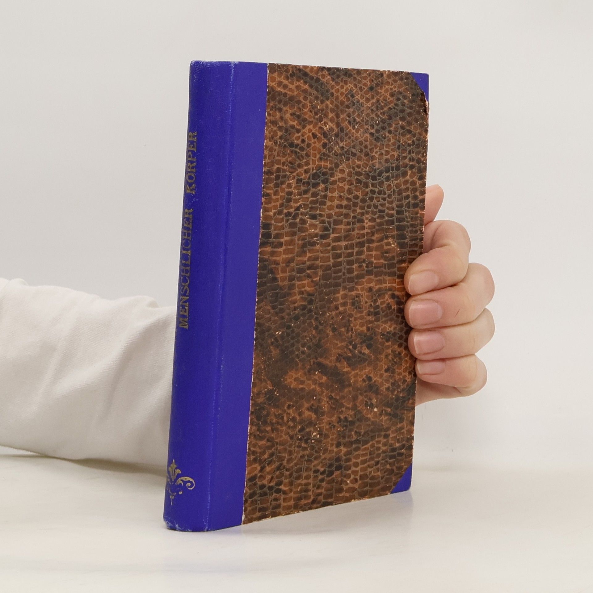 Hermann Dekker Menschlicher Körper