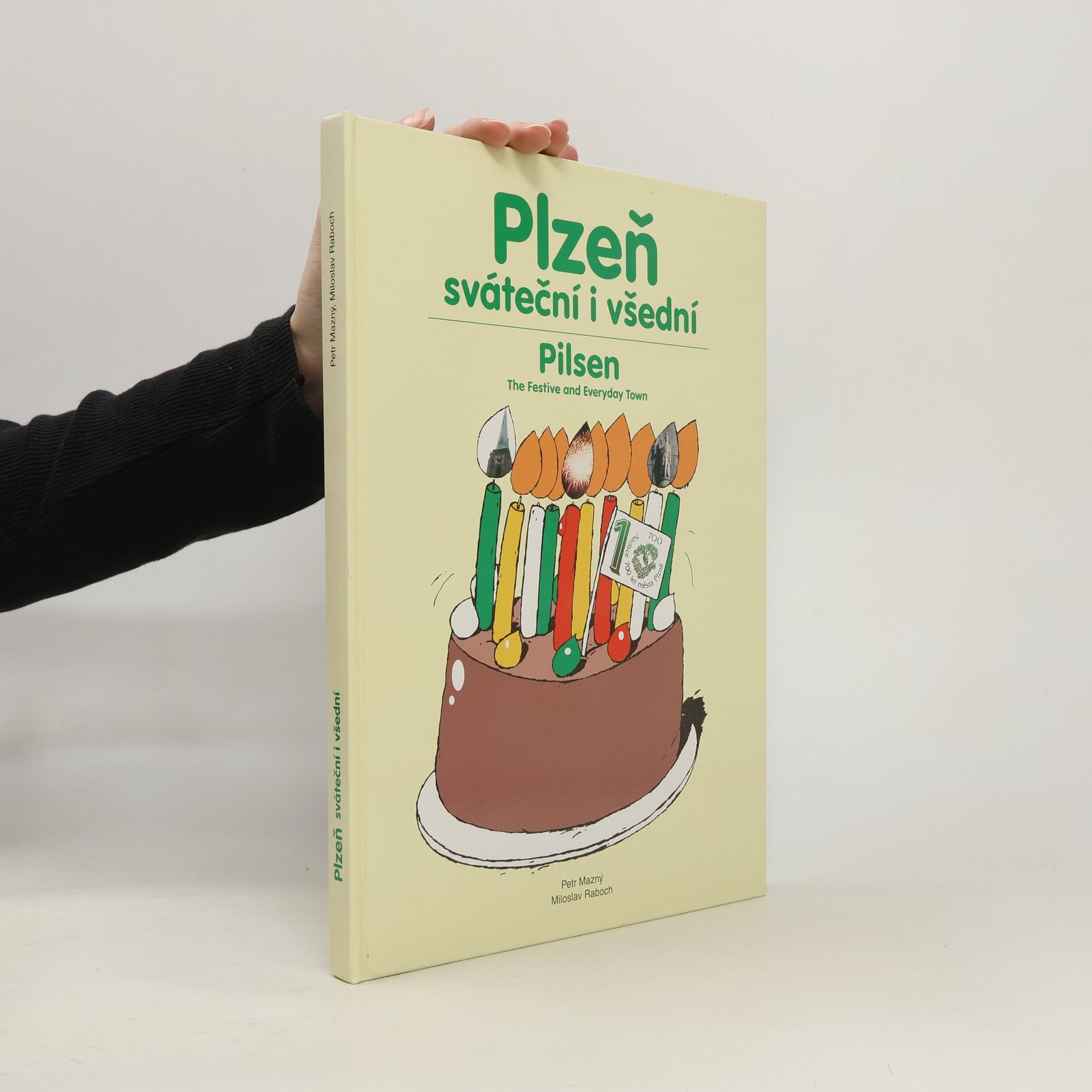 Petr Mazný Plzeň sváteční i všední/Pilsen the festive and everyday town