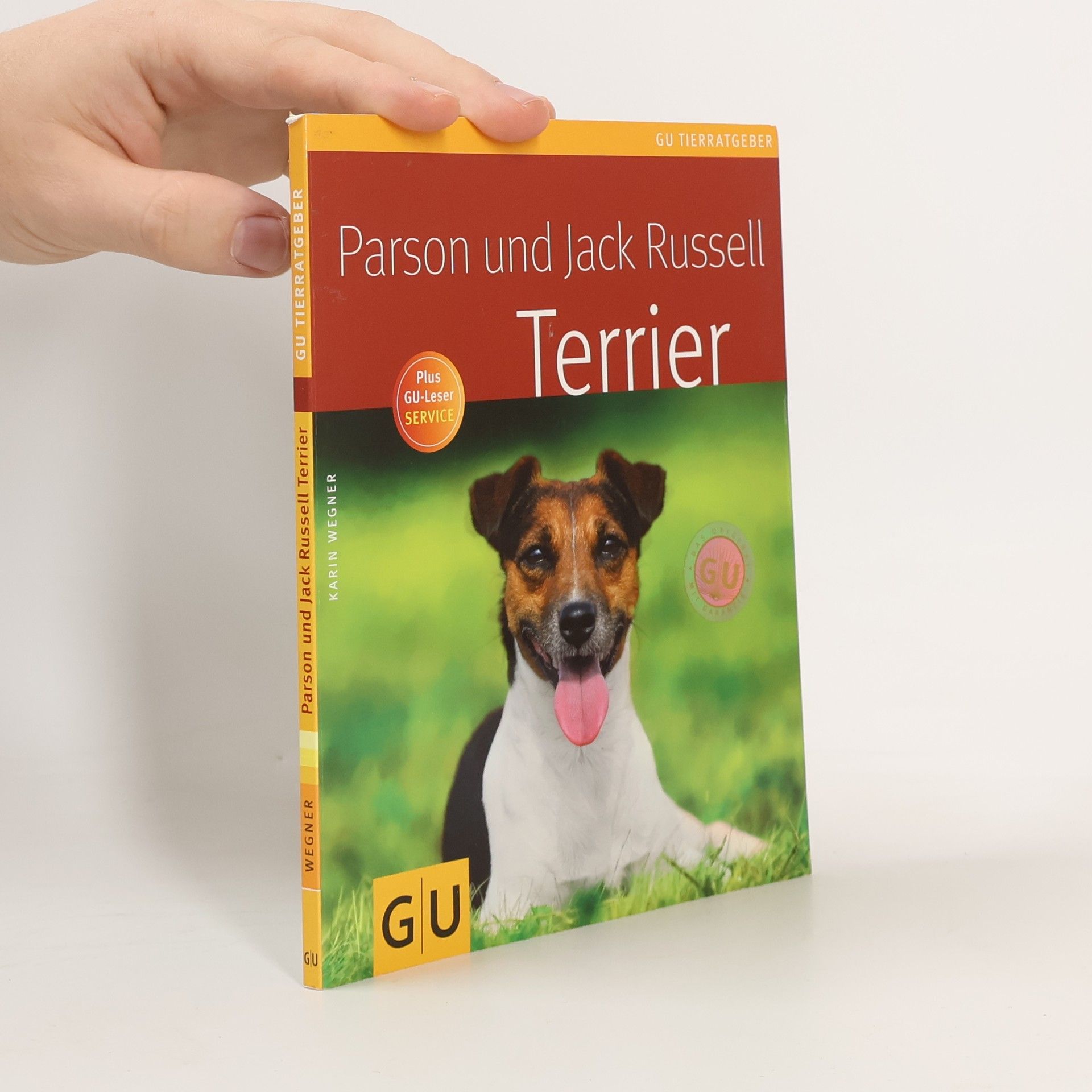 Parson und Jack Russell Terrier
