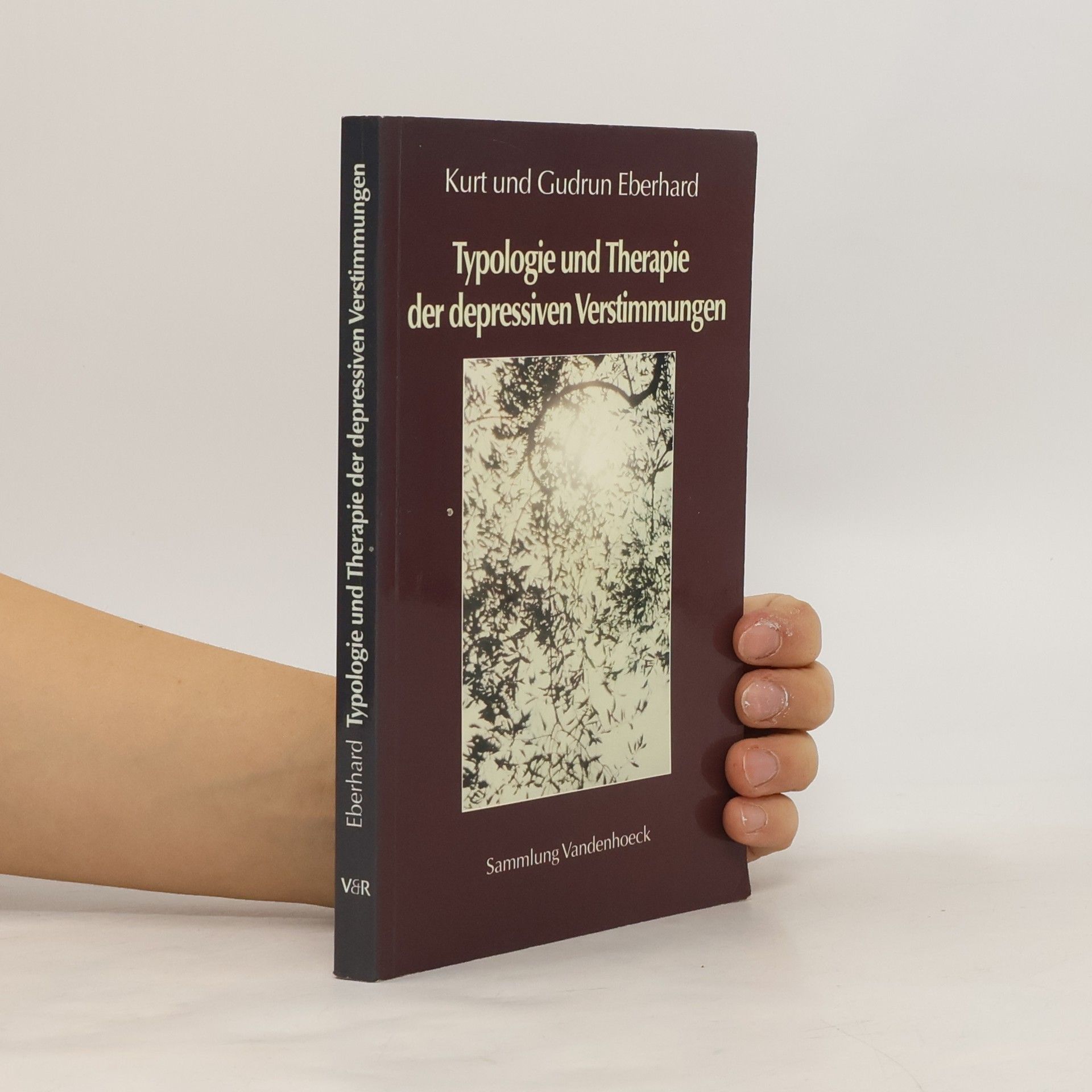 Typologie und Therapie der depressiven Verstimmungen