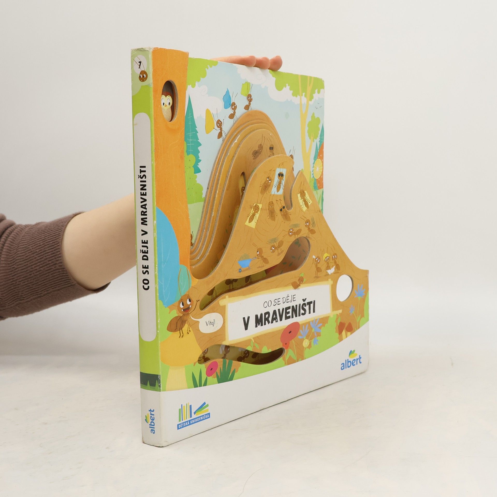 Various authors Co se děje v mraveništi