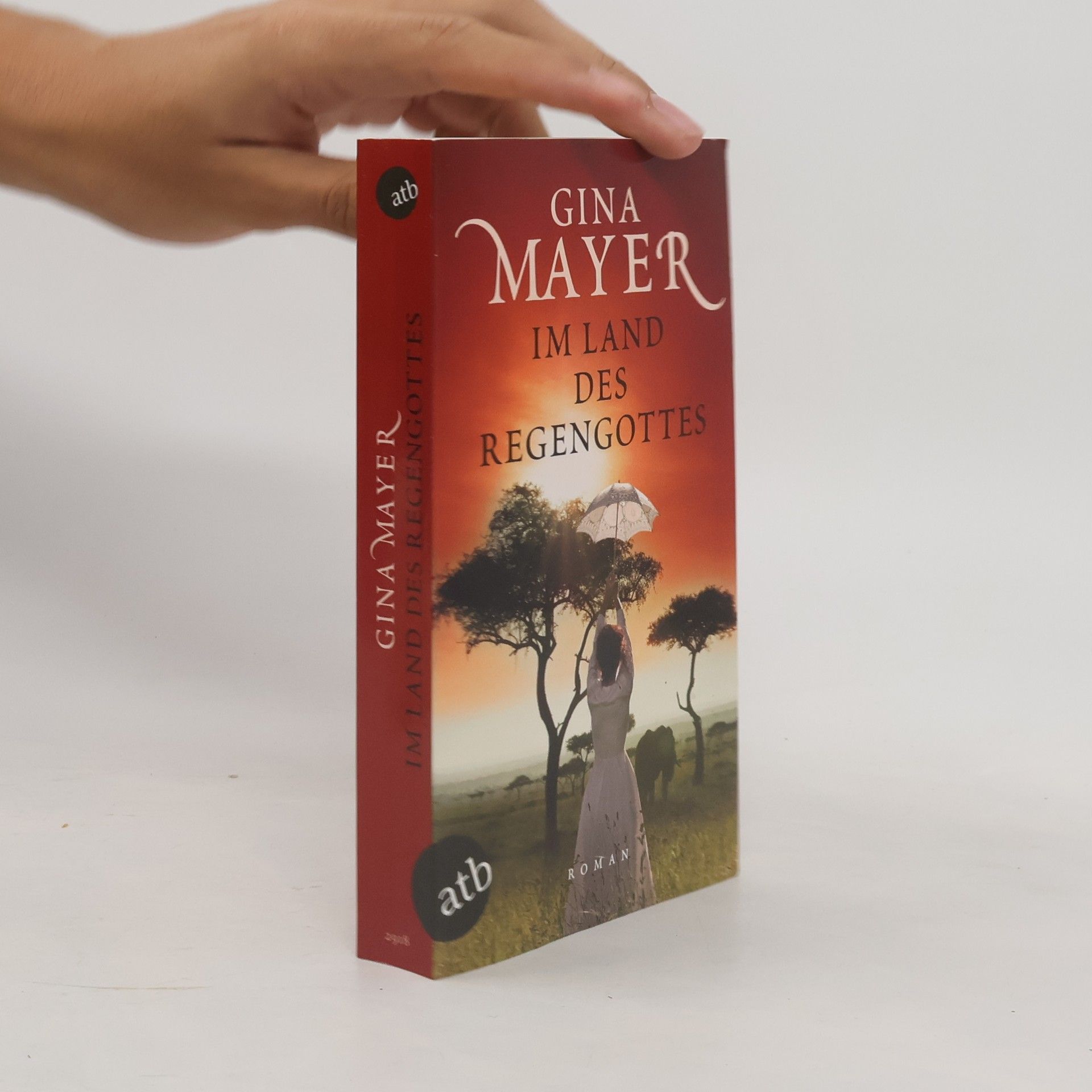 Gina Mayer Im Land des Regengottes