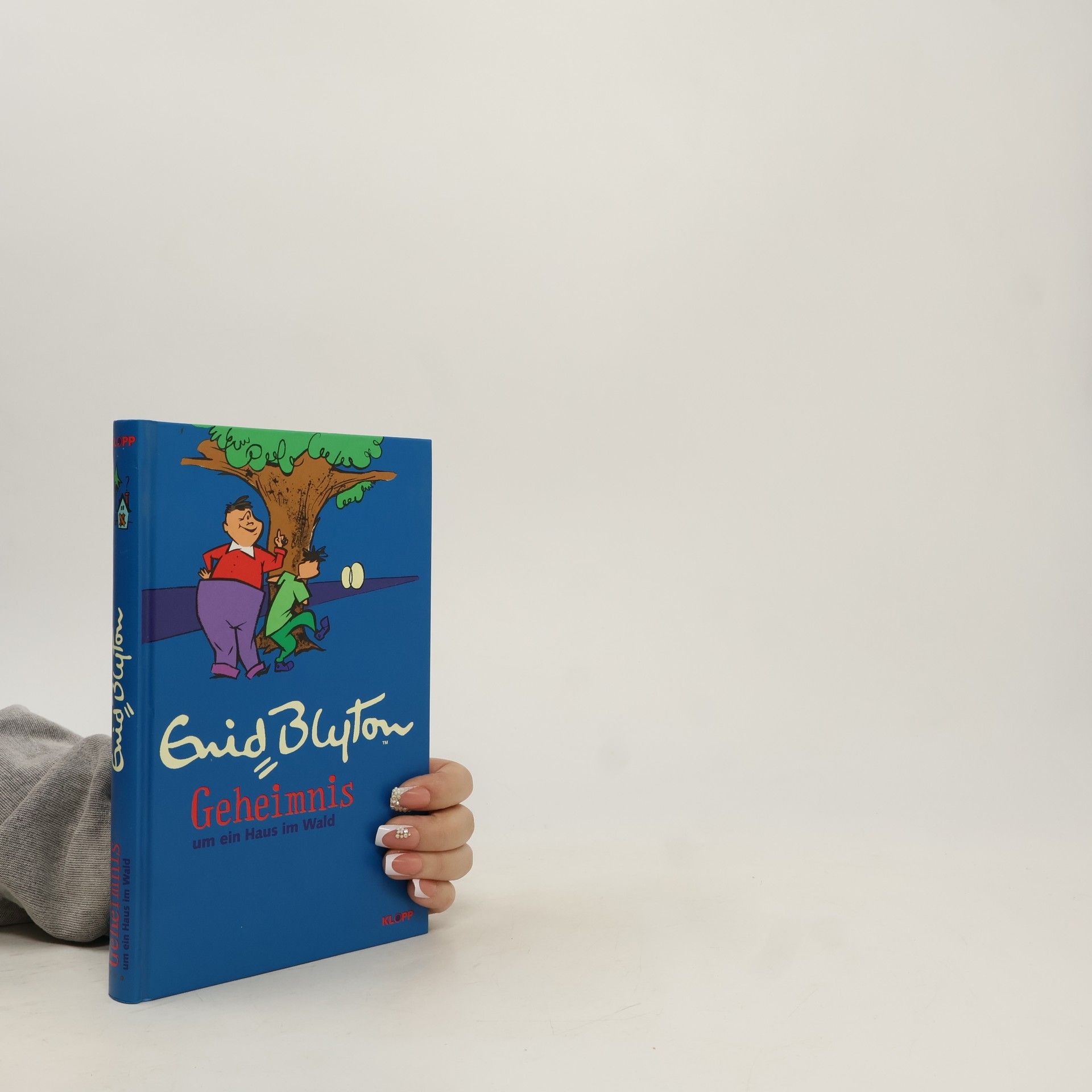 Enid Blyton Geheimnis-Serie 6