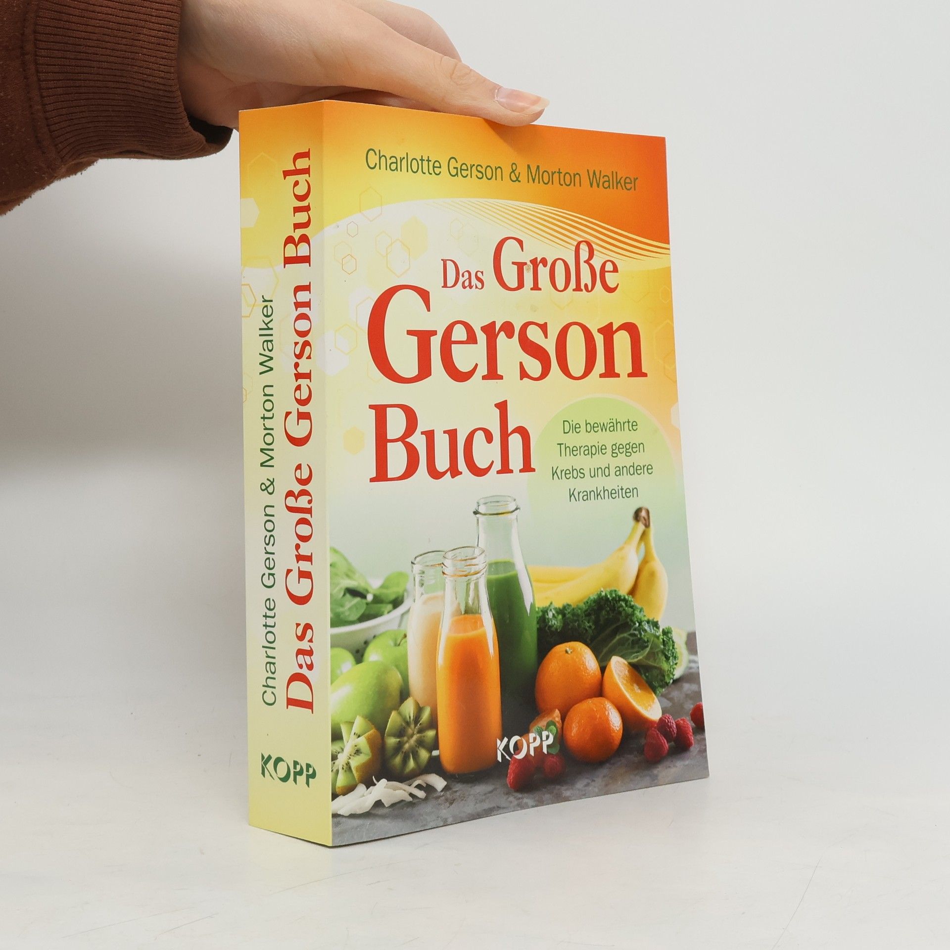 Das große Gerson Buch