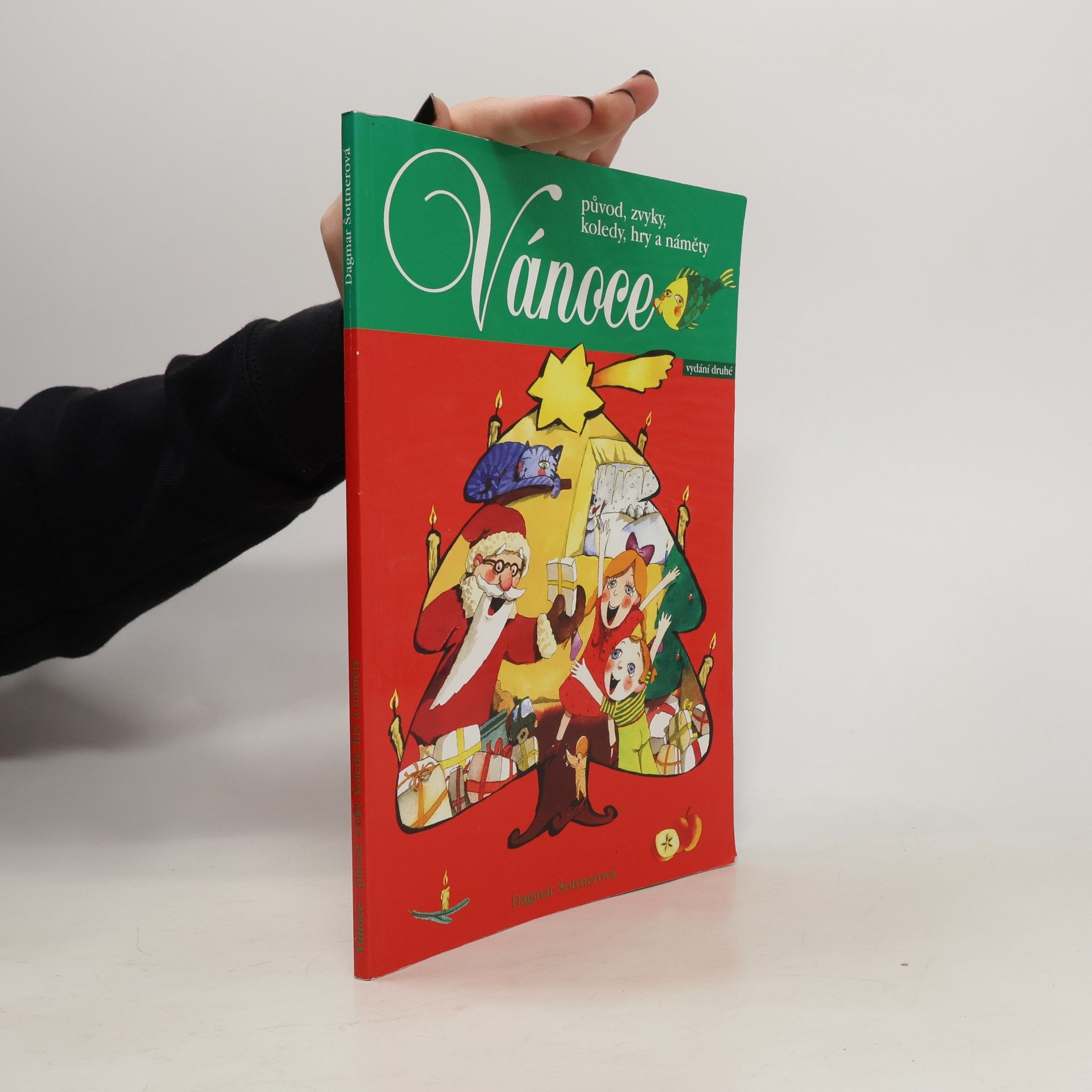 Vánoce : původ, zvyky, koledy, hry a náměty