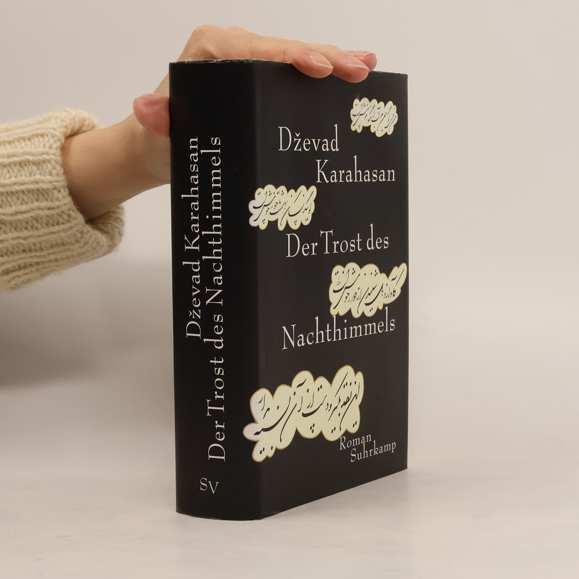 Dževad Karahasan Der Trost des Nachthimmels