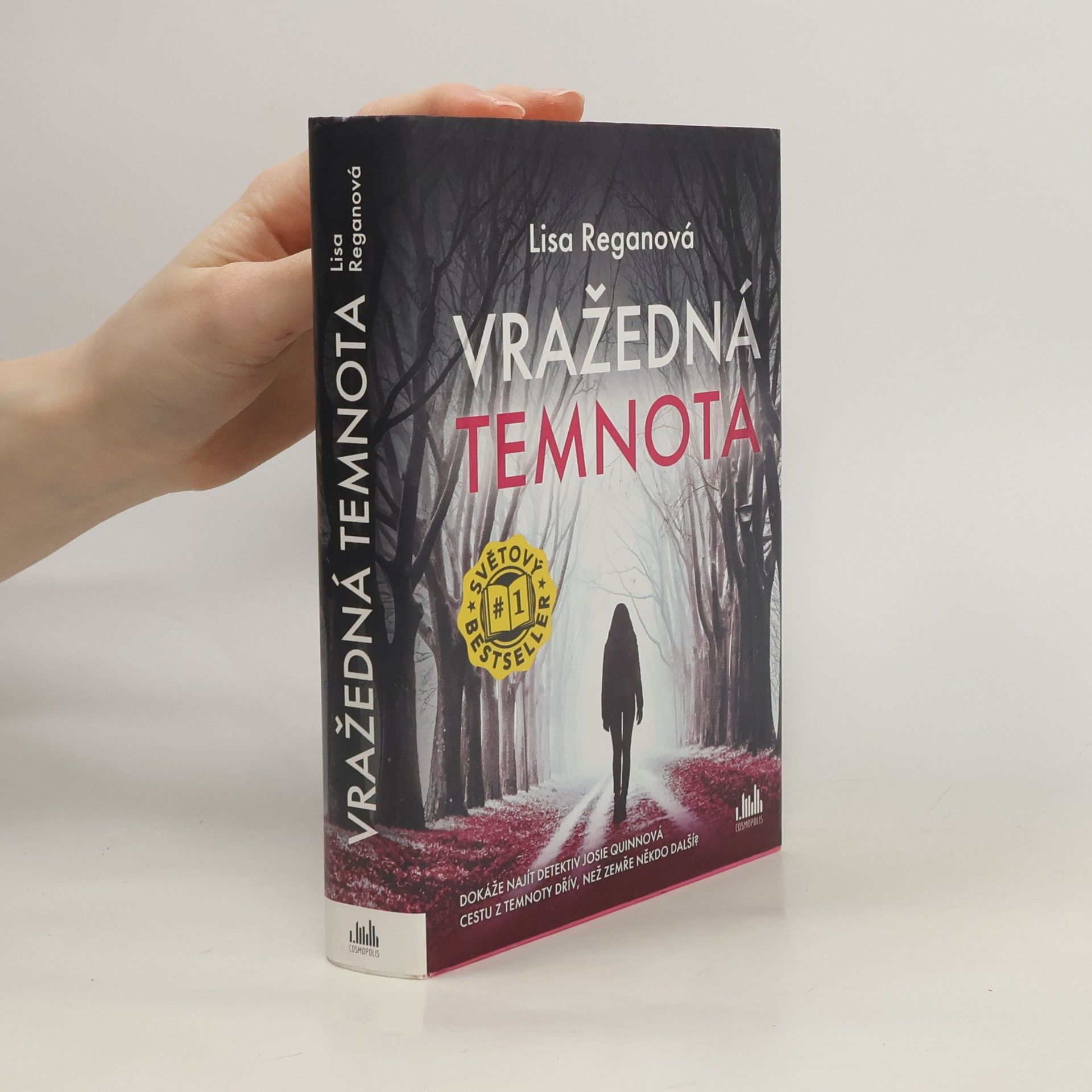 Lisa Regan Vražedná temnota