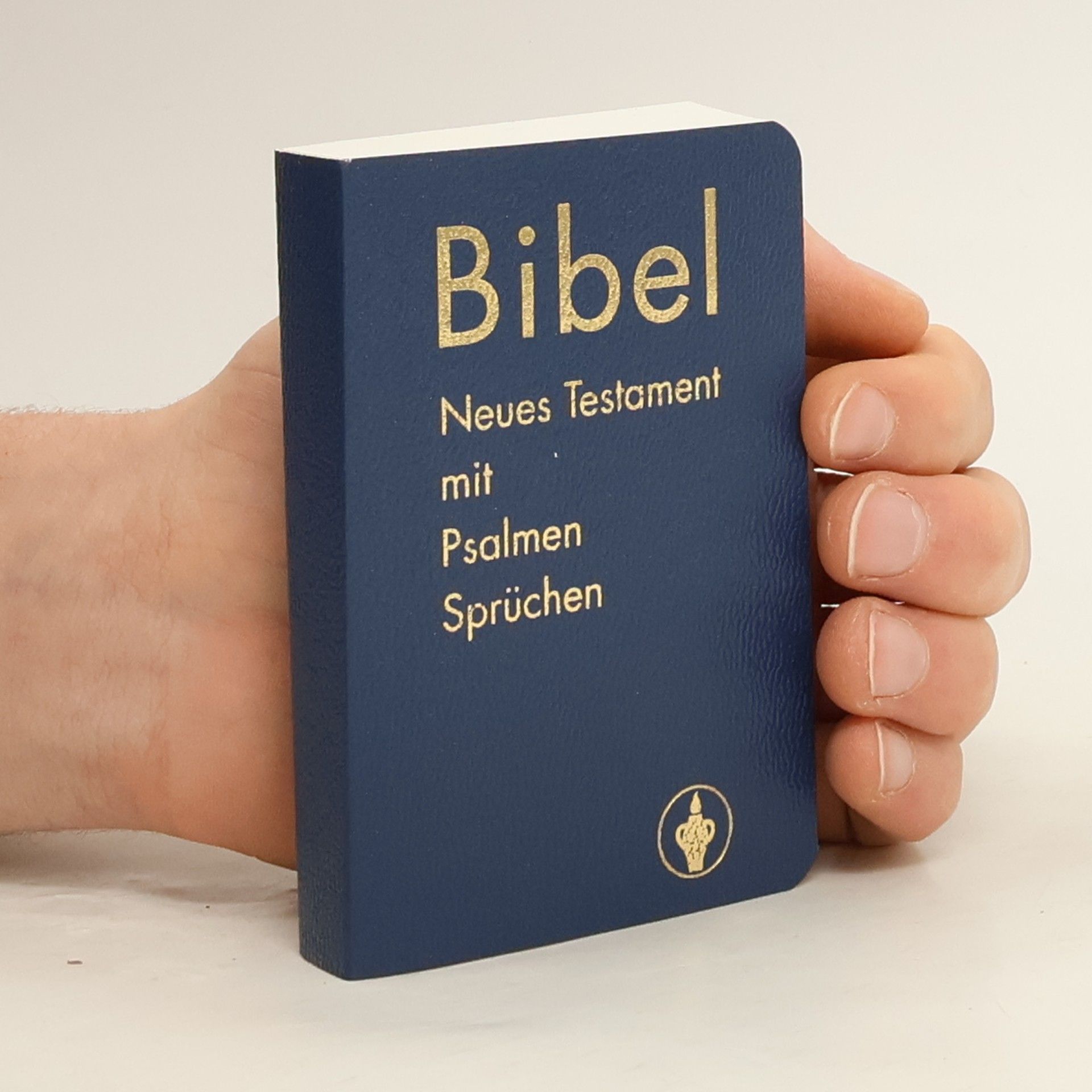 Autorenkollektiv Bibel. Neues Testament mit Psalmen Sprüchen