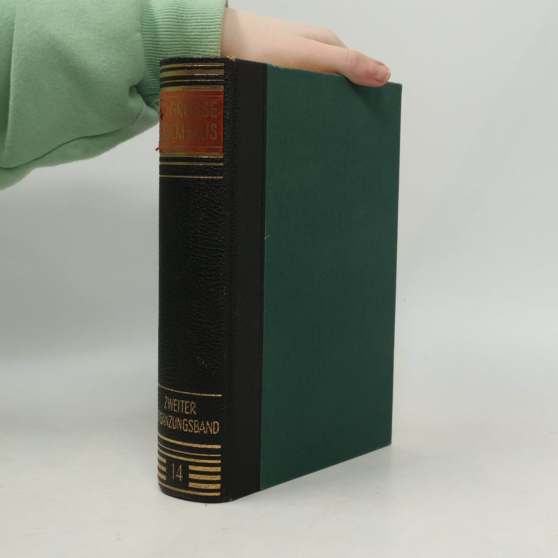 Kolektív autorov Der grosse Brockhaus 14.