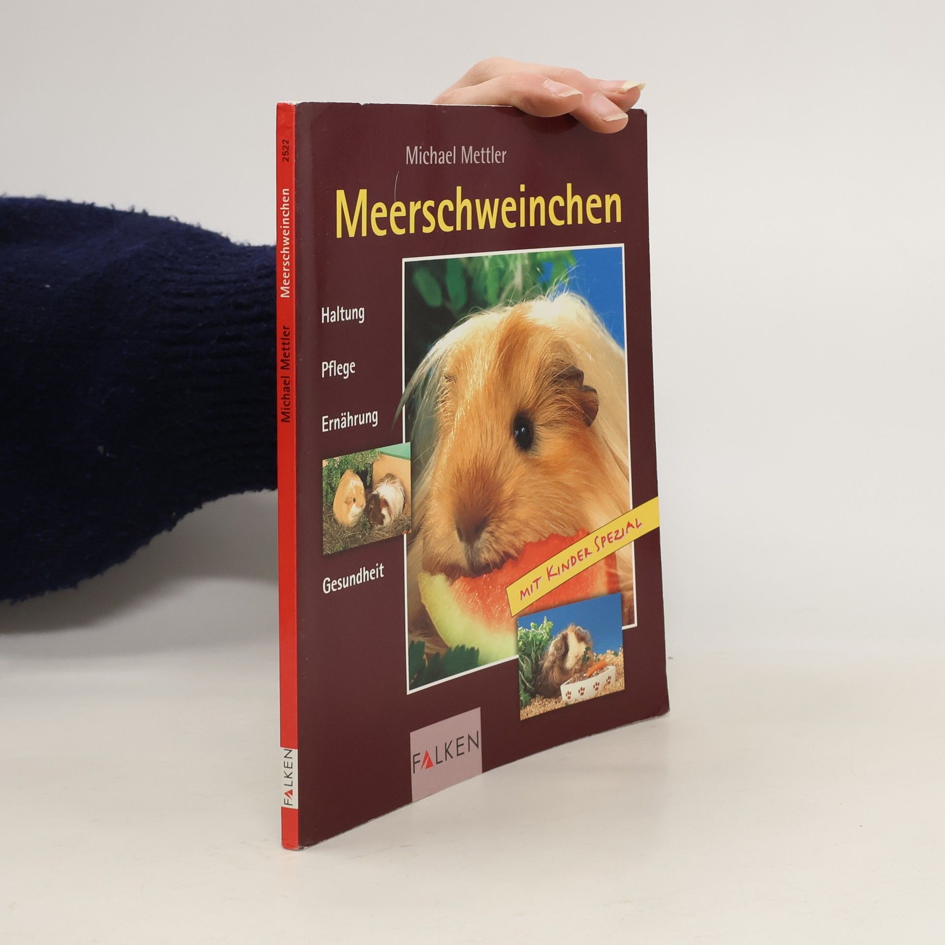 Michael Mettler Meerschweinchen