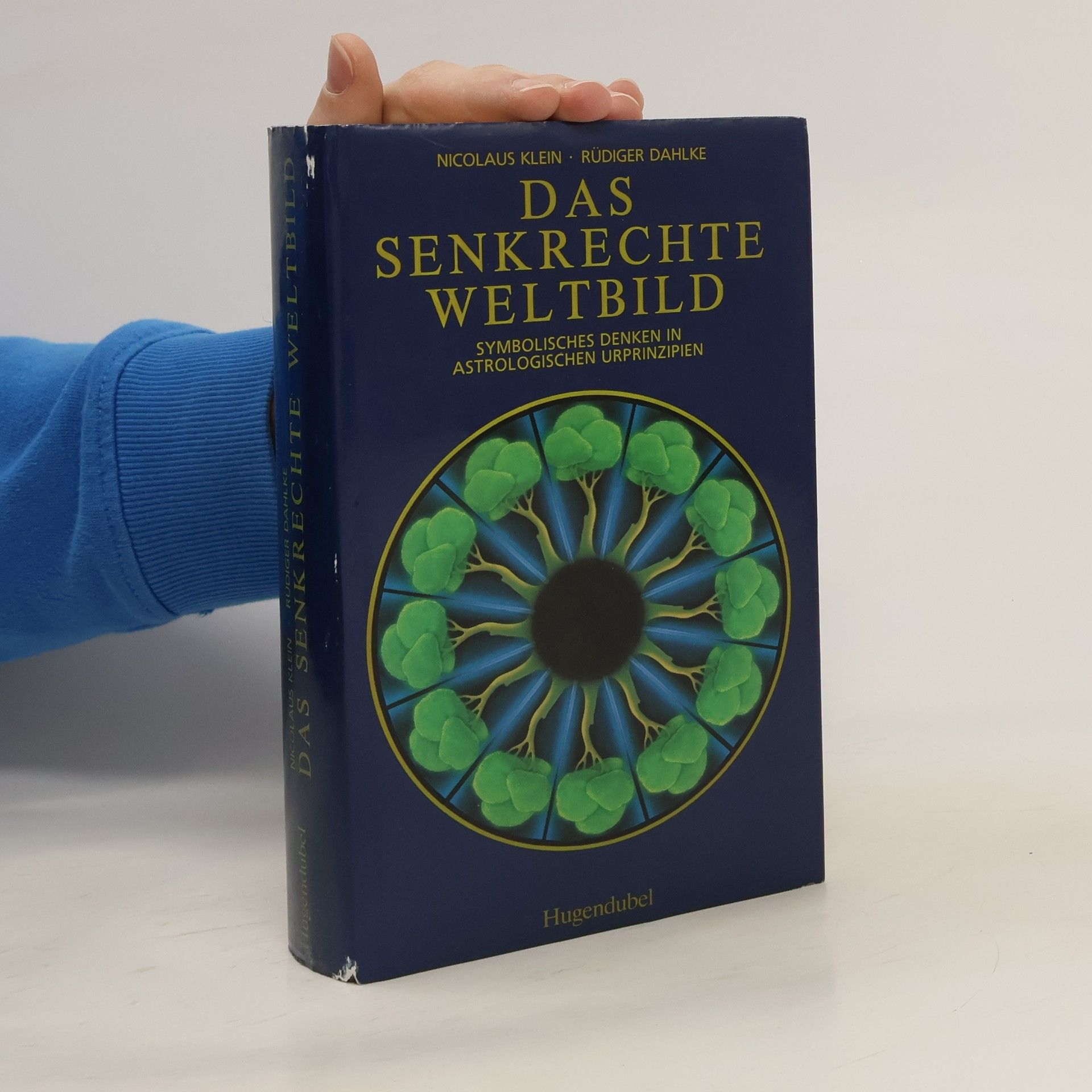 Nicolaus Klein Das senkrechte Weltbild