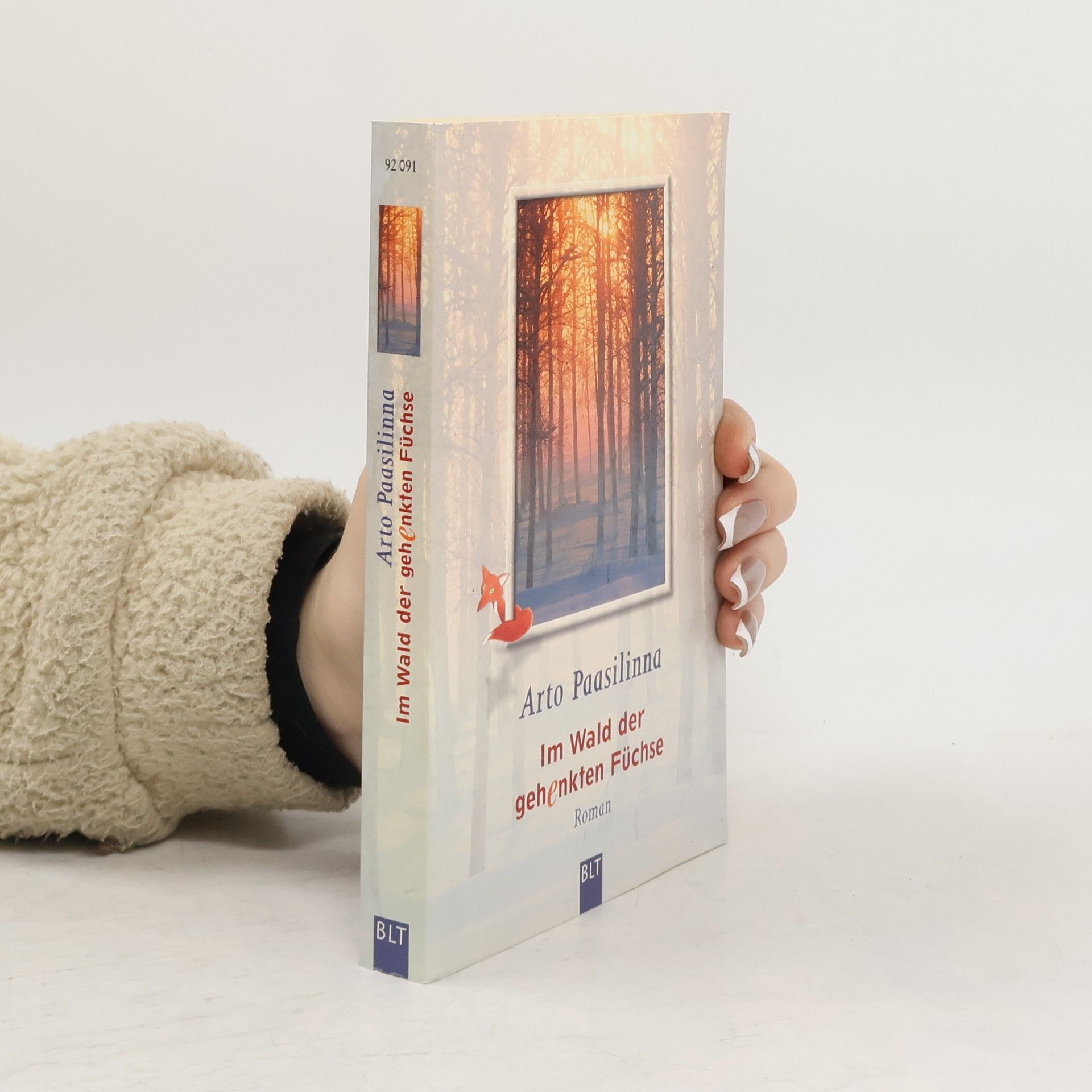 Arto Paasilinna Im Wald der gehenkten Füchse