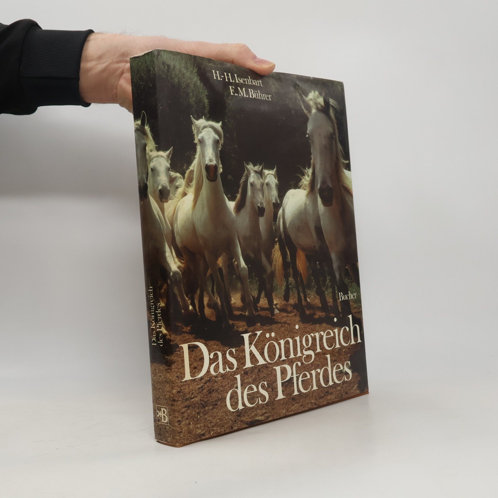 Das Königreich des Pferdes