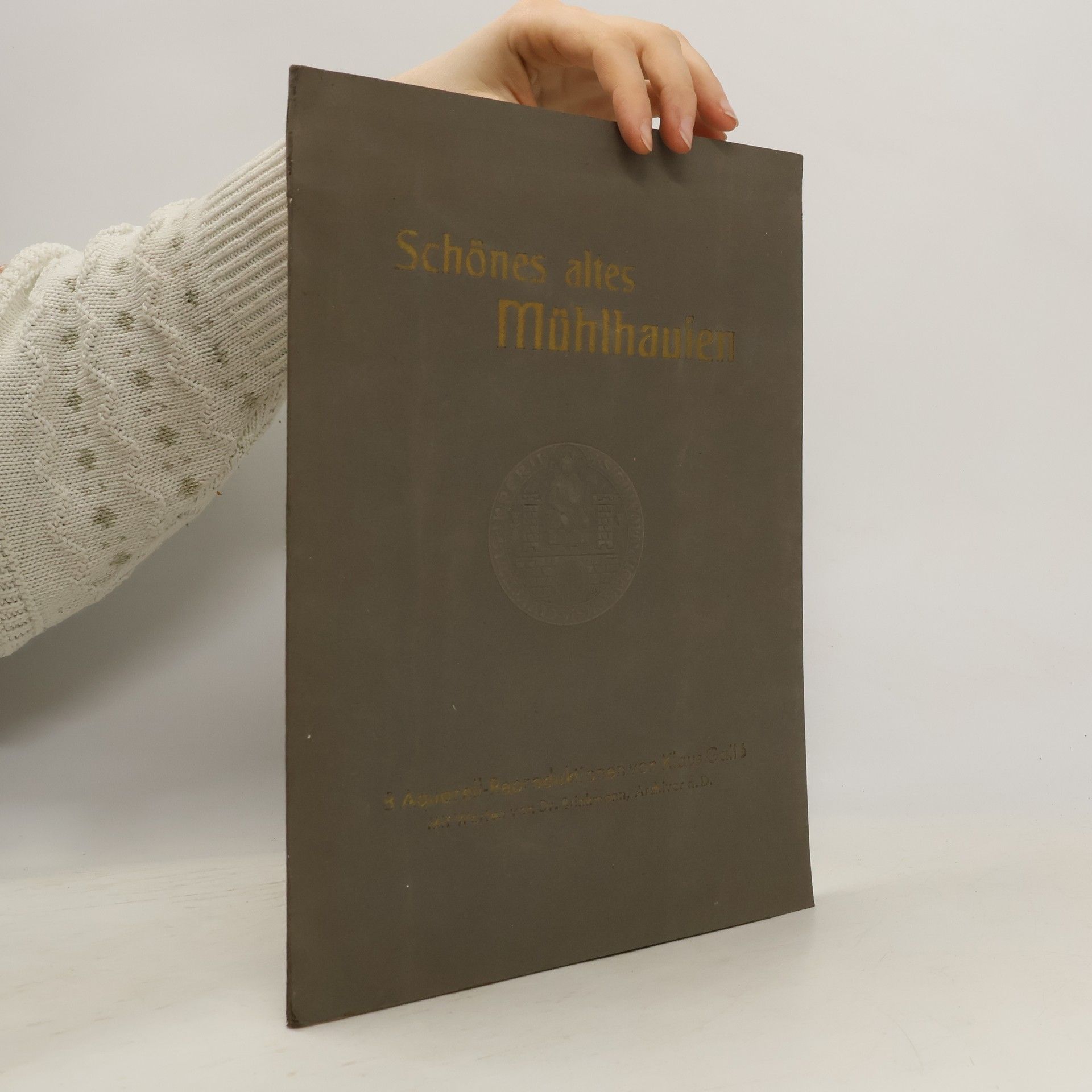 Autores varios Schönes altes Mühlhausen