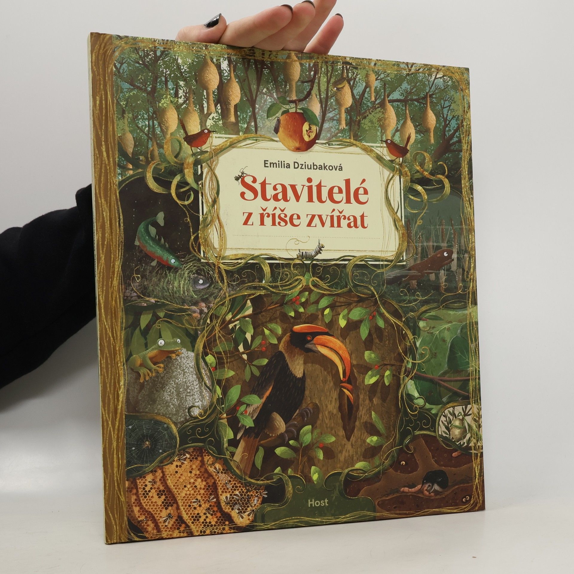 Stavitelé z říše zvířat