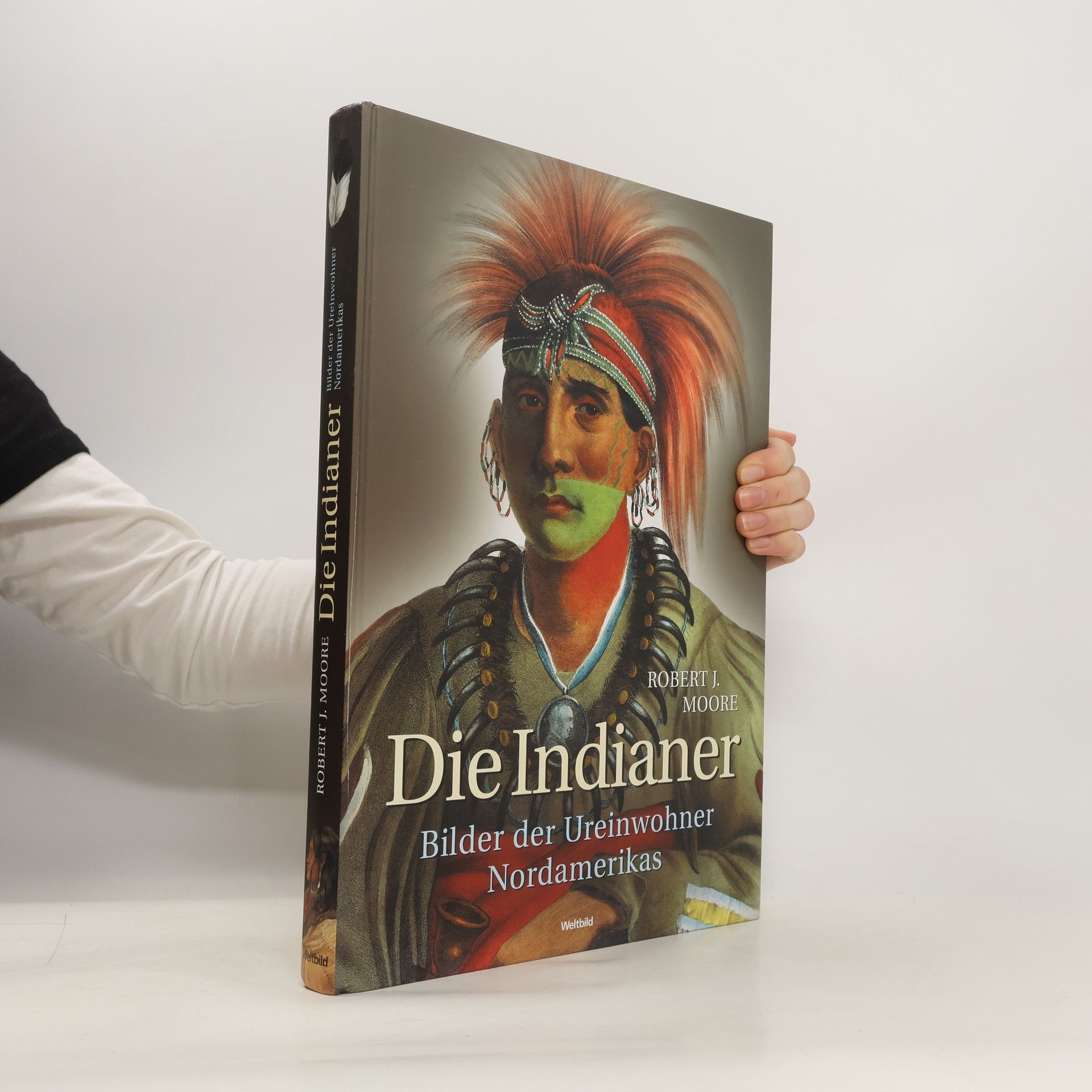 Valeria Manferto Die Indianer