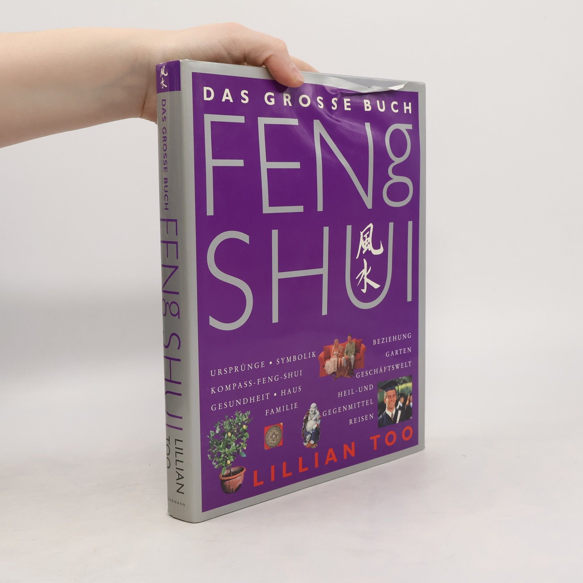 Das grosse Buch Feng Shui